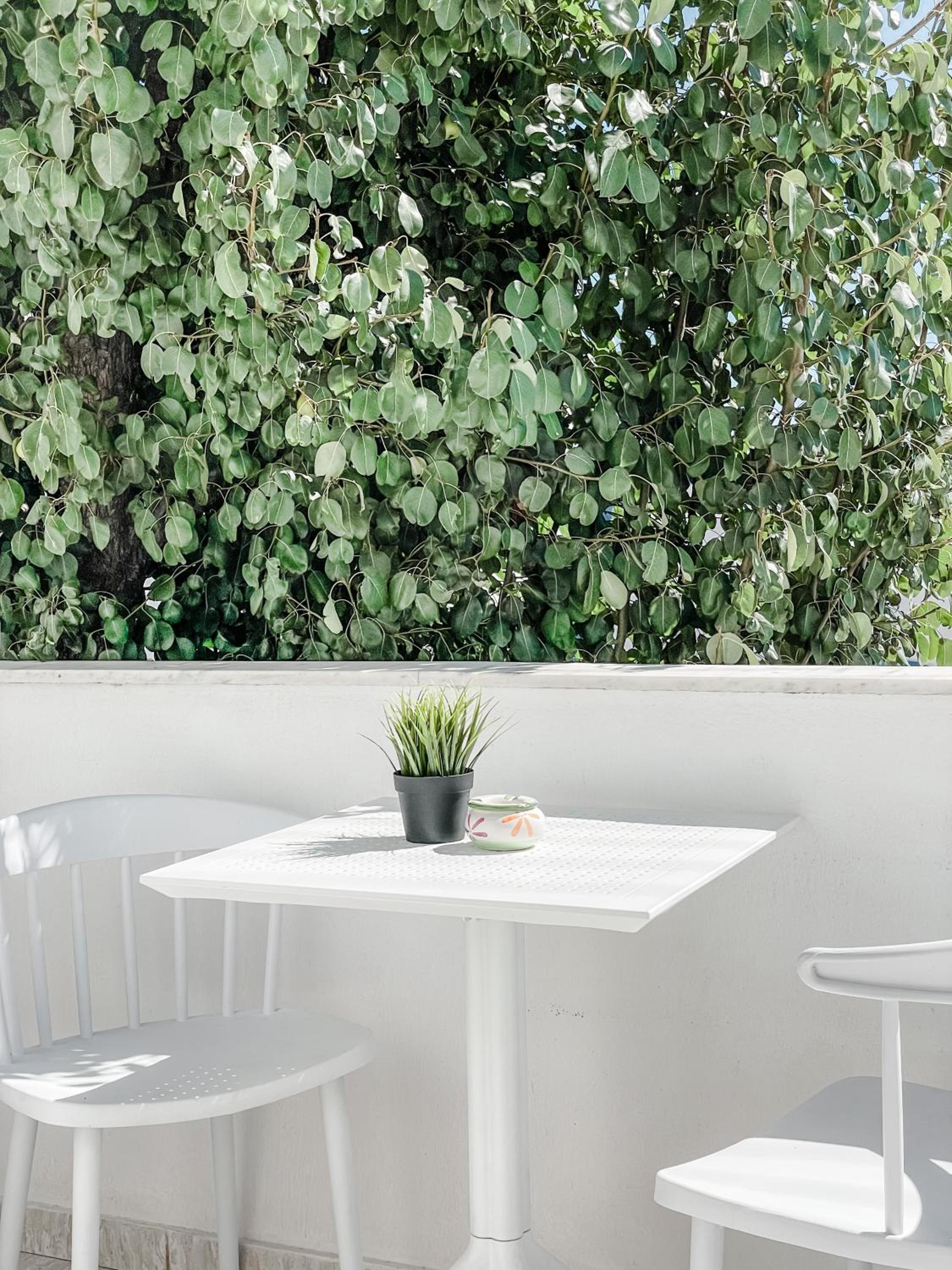 Elkaza Villas photo 4