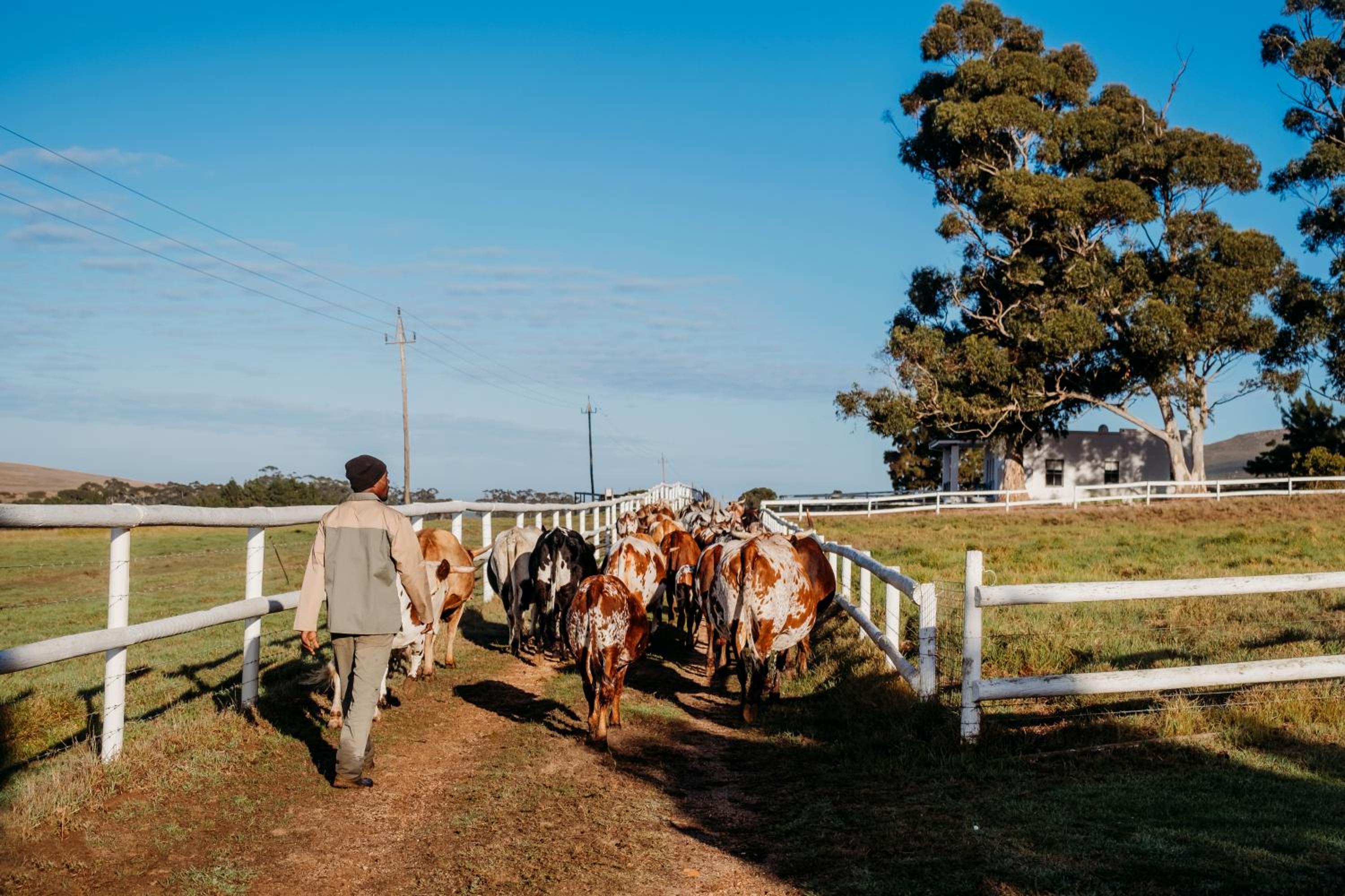 White Water Farm