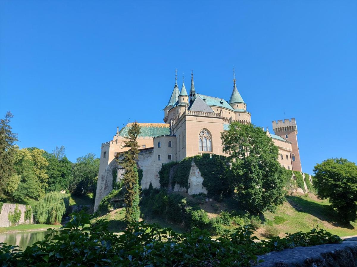Photo 41