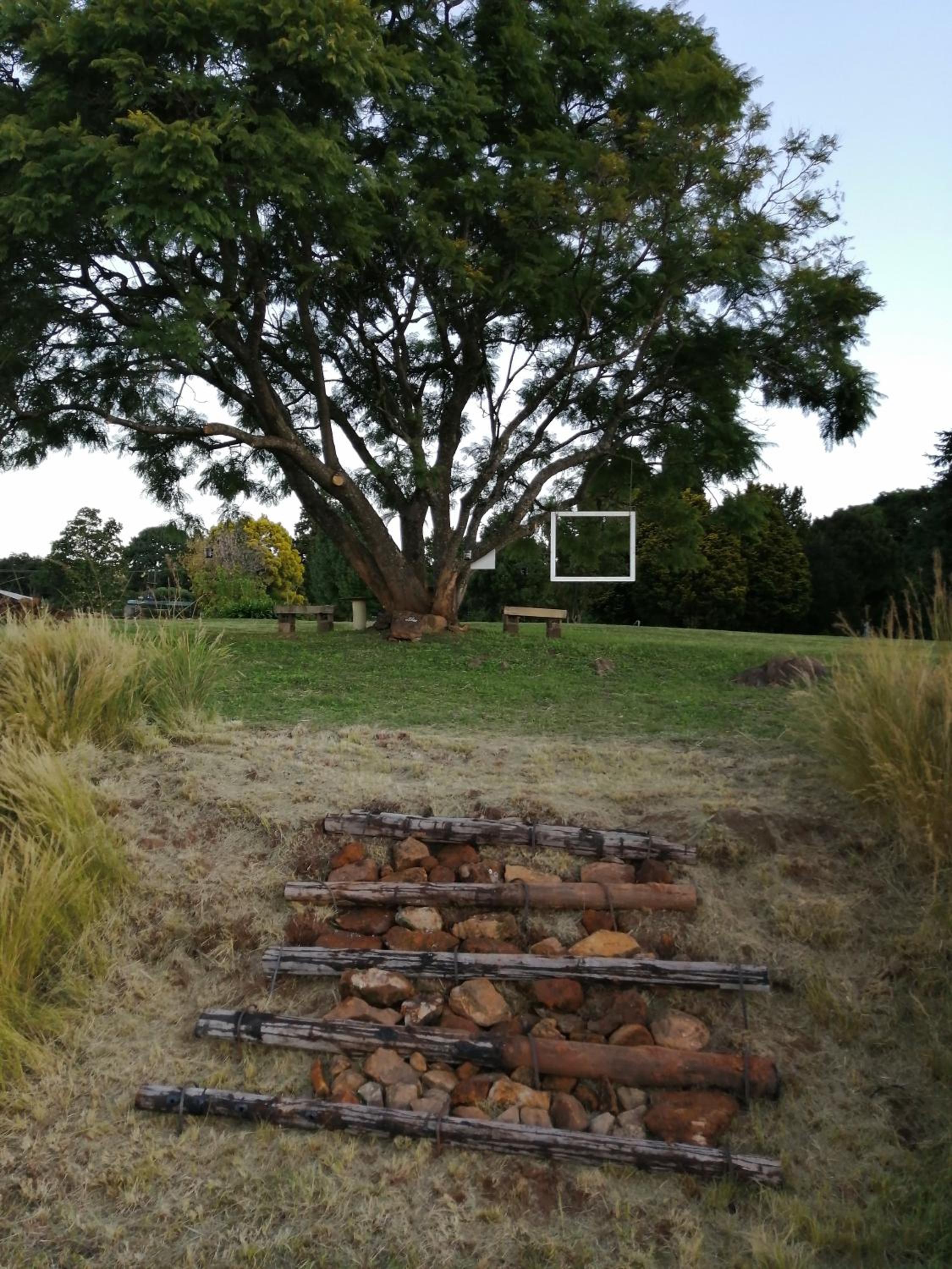 Photo 46