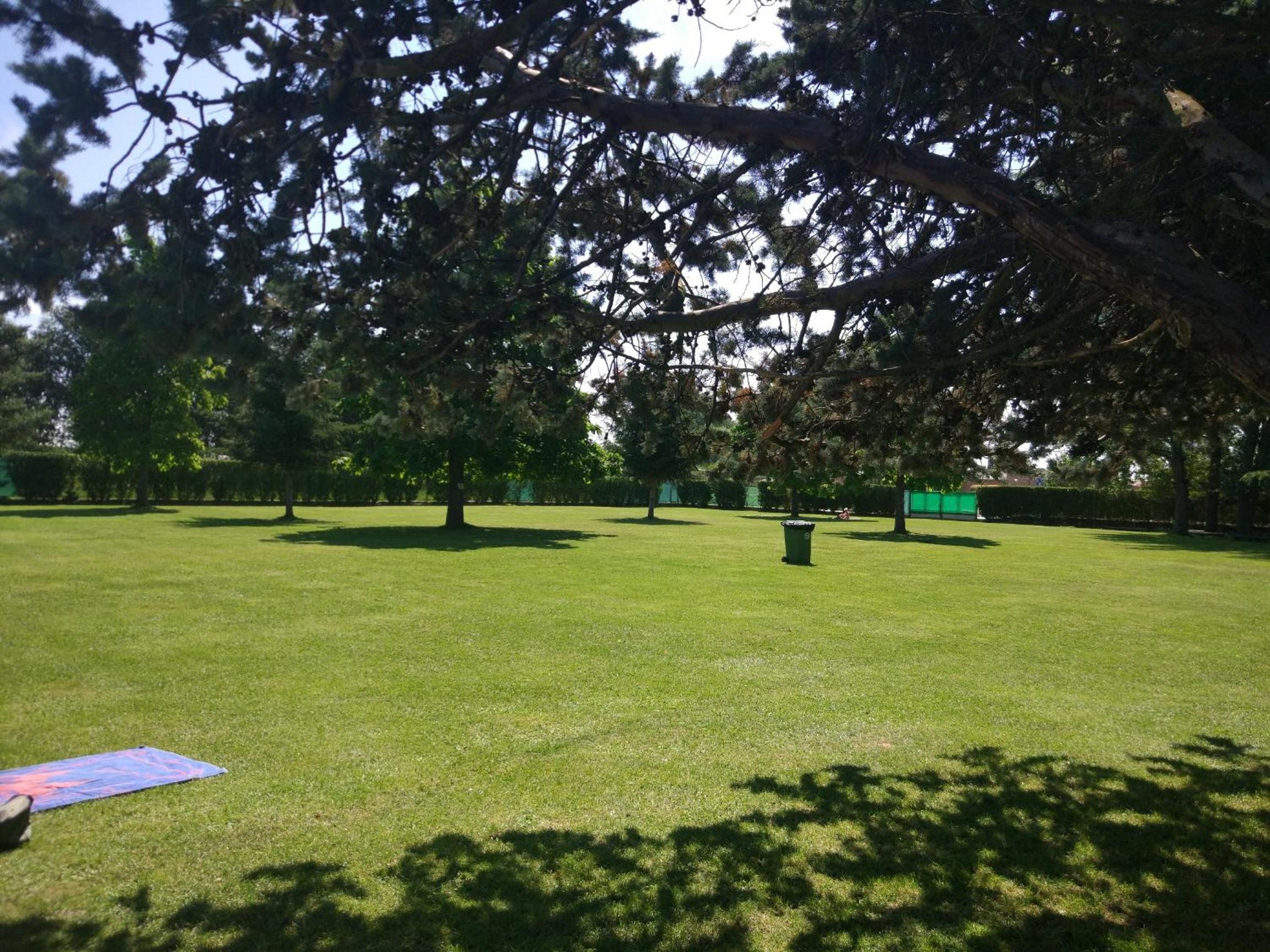 Photo 21