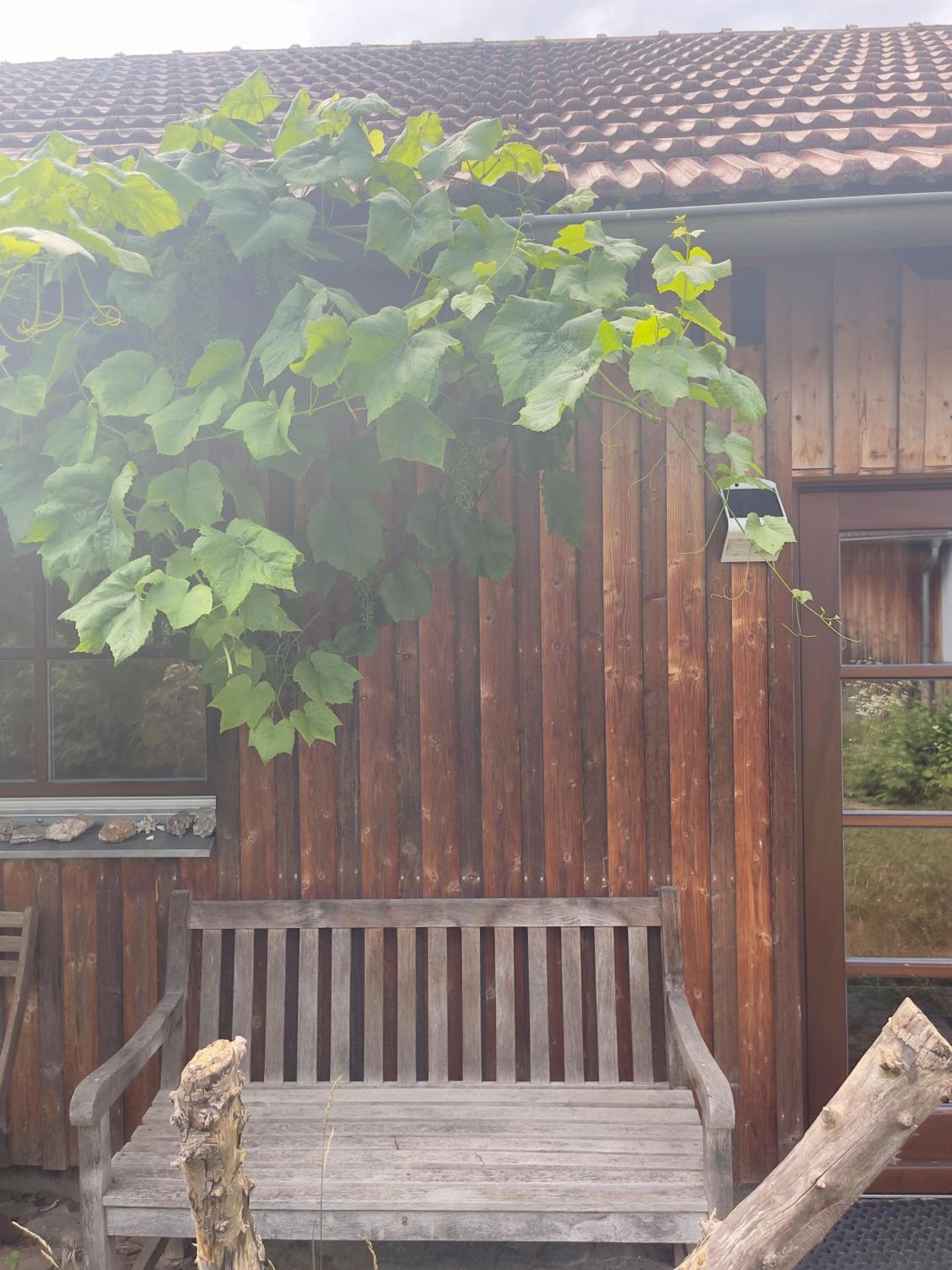 Bavaria Cottage mit Casetta oder Chalet in Tegernheim bei Regensburg