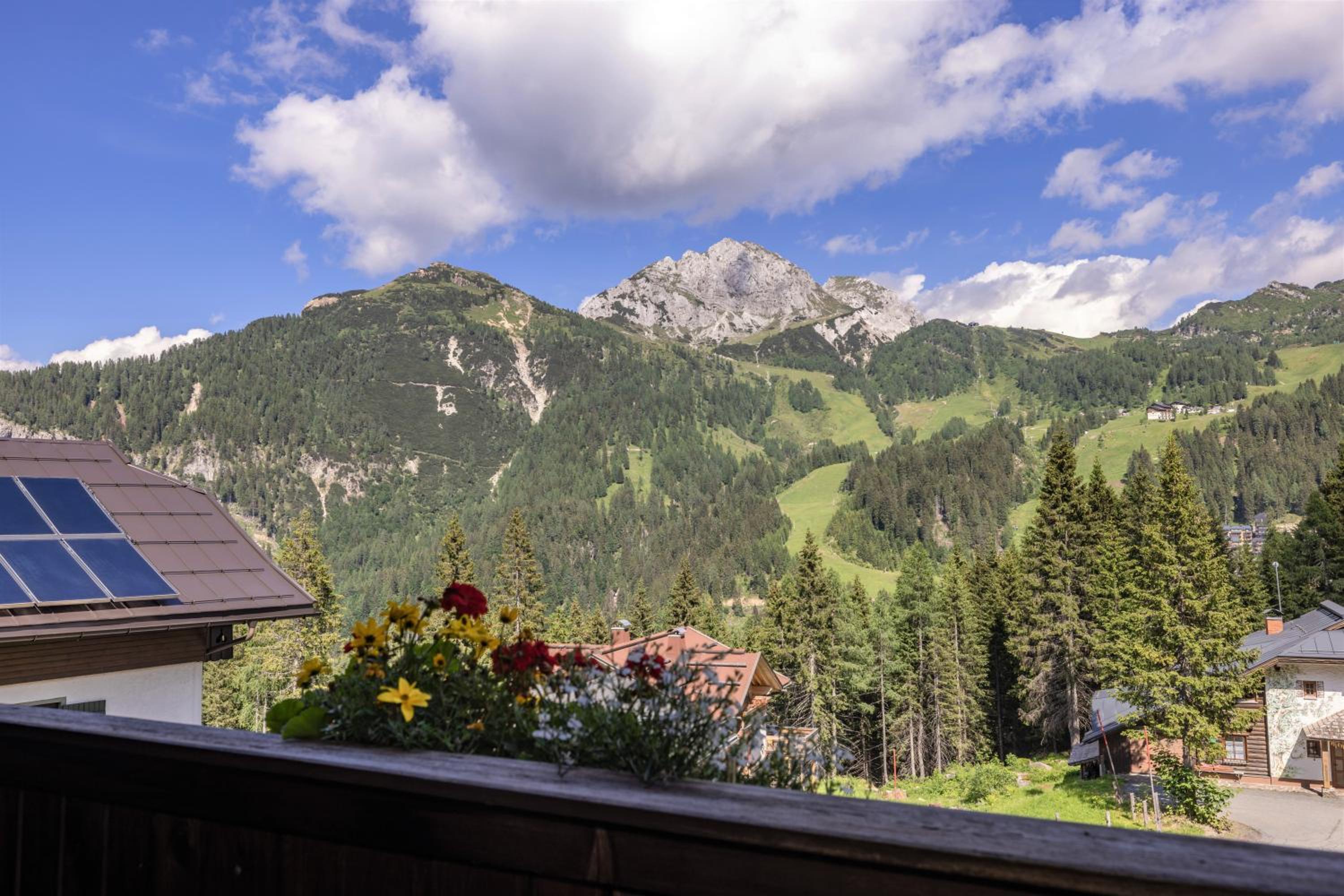 Almhütten Sonnblick & Almfried