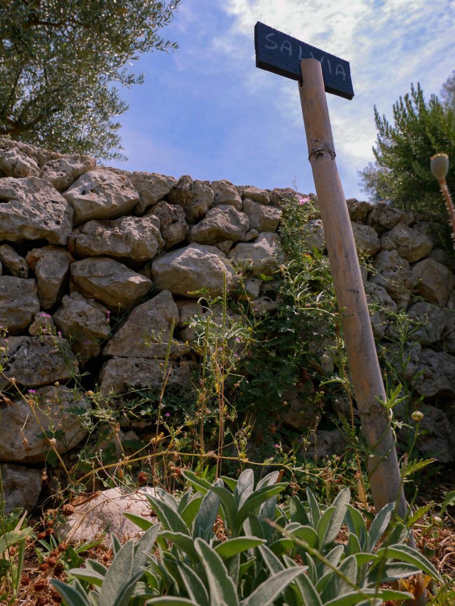 Photo 48