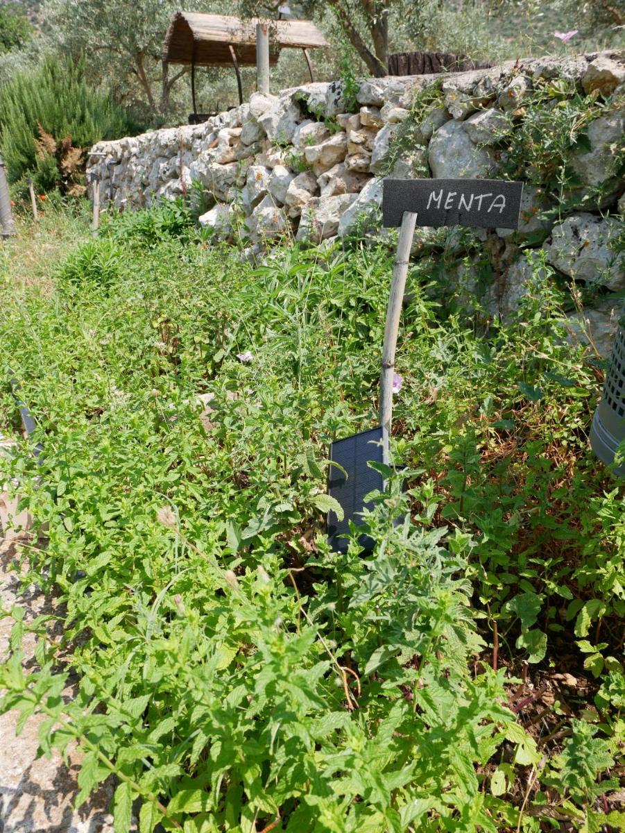 Photo 26