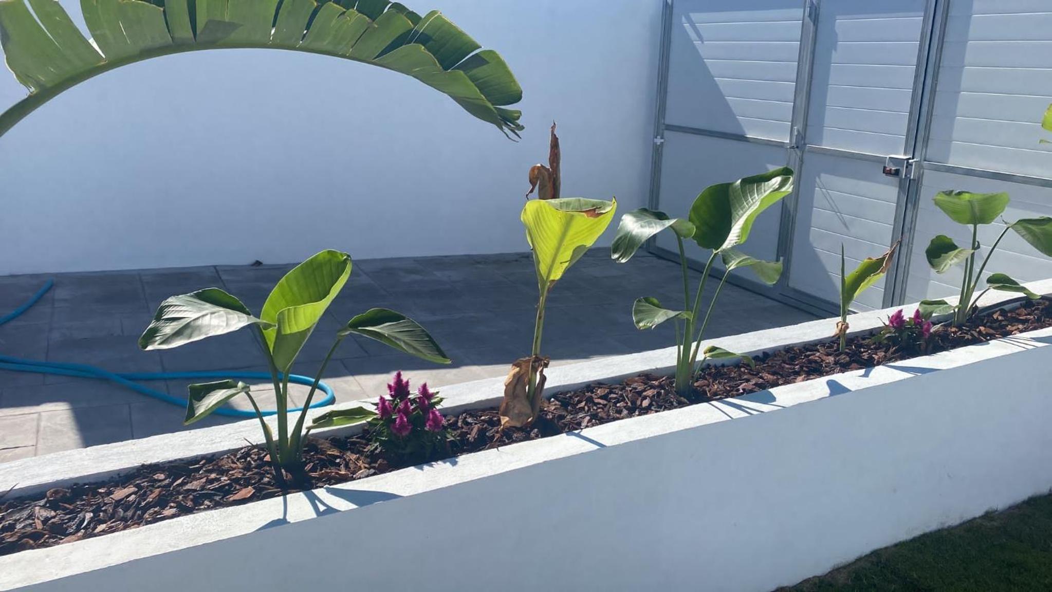 Estupenda Villa con piscina