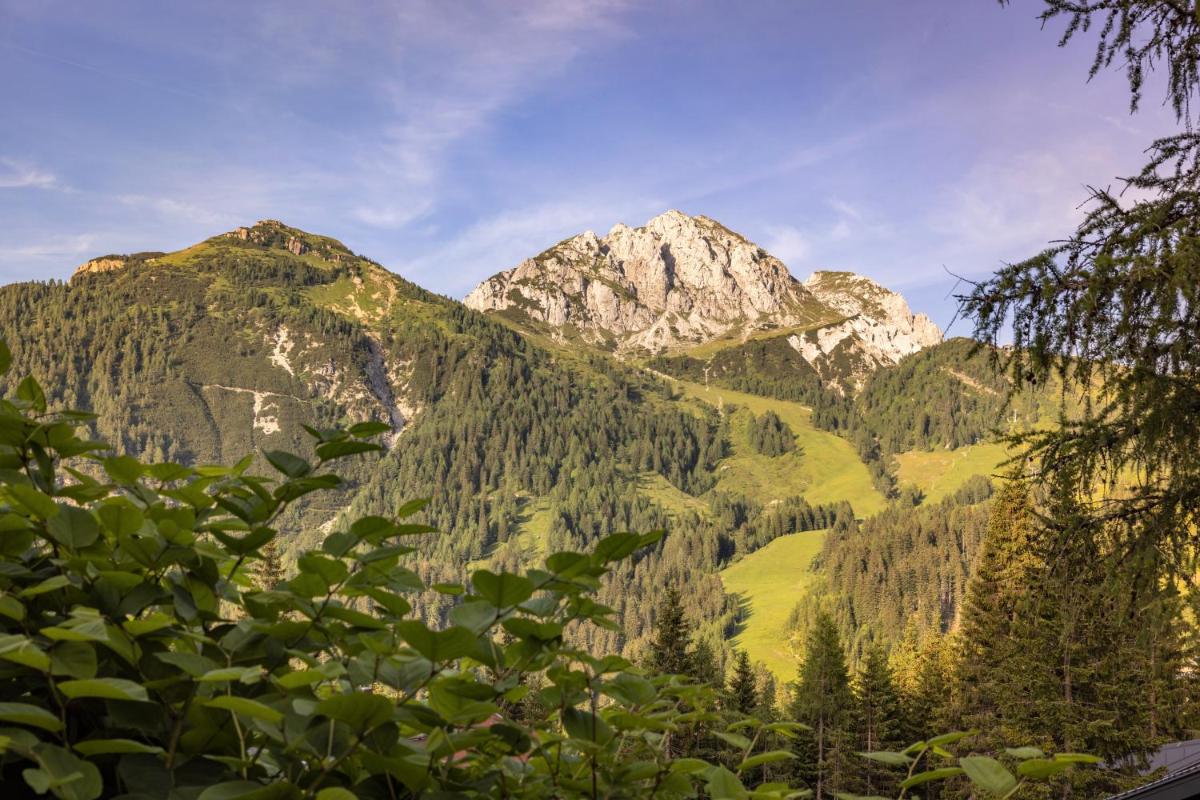 Almhütten Sonnblick & Almfried