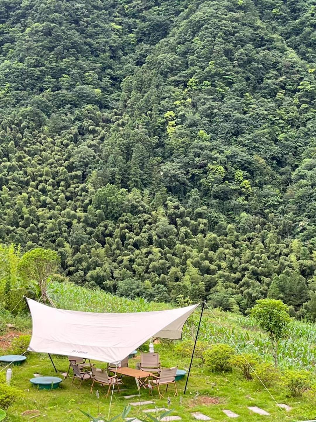 Zhangjiajie national park Purespace --2nights 1free pick-up&book tickets&5min to park