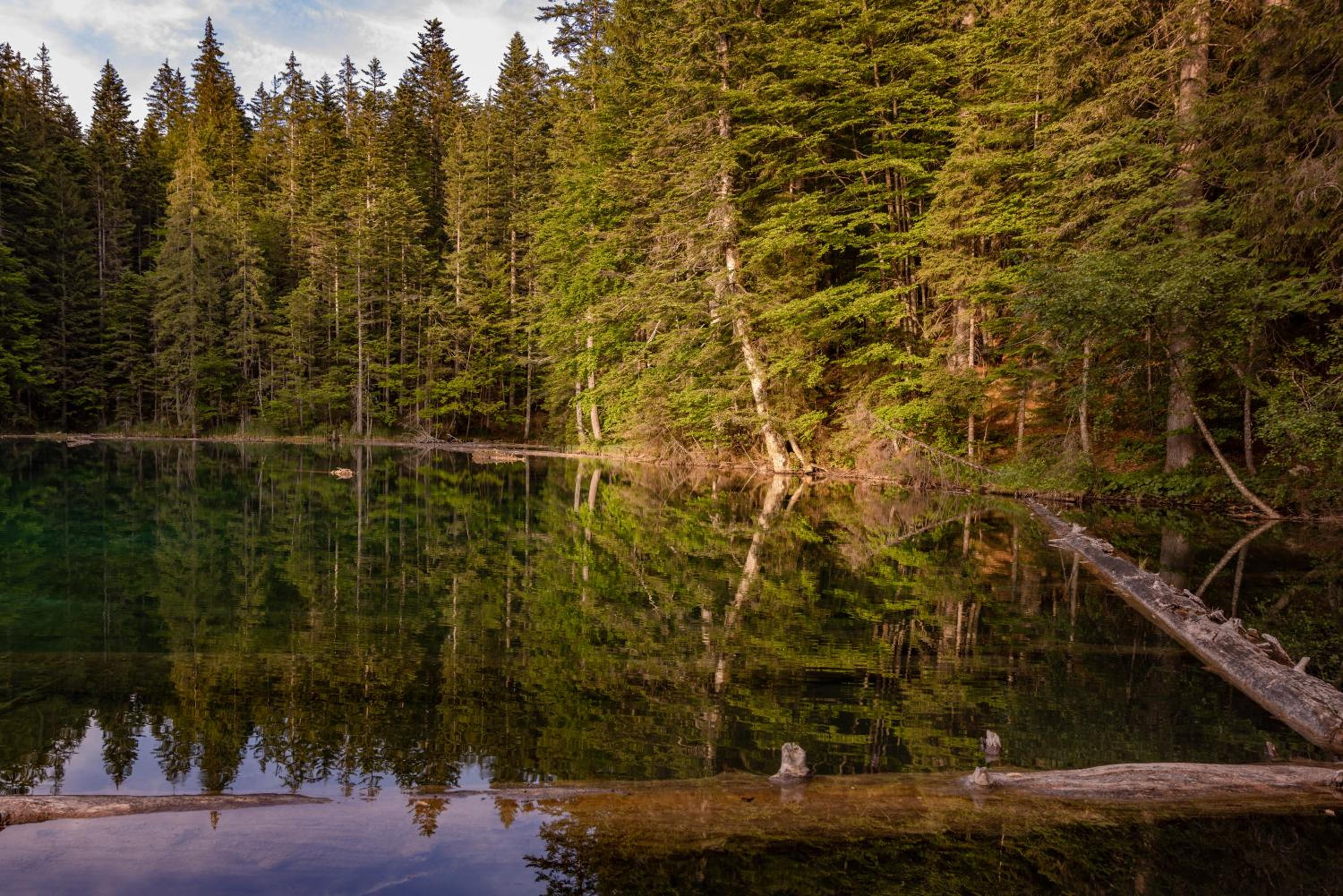 Almhütten Sonnblick & Almfried