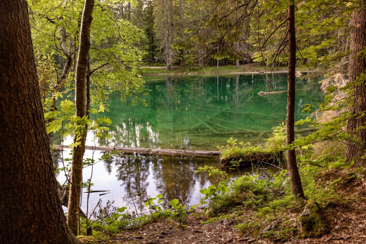 Almhütten Sonnblick & Almfried