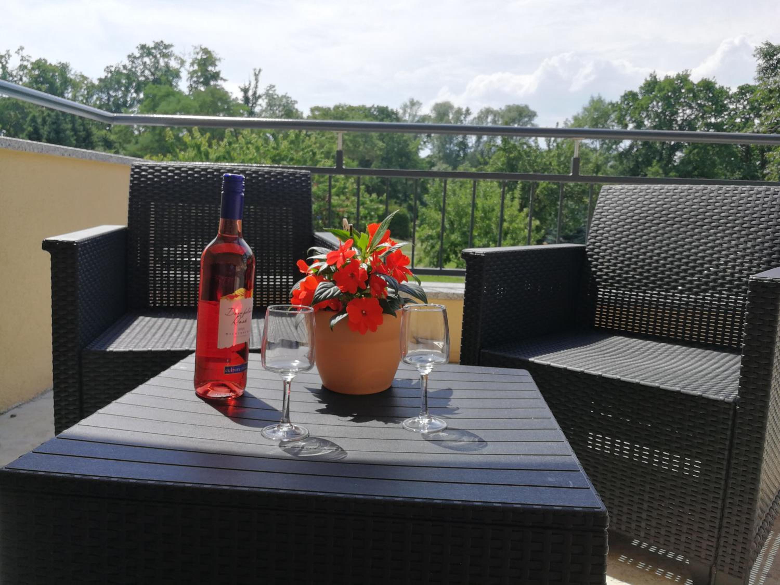Pension Schlossblick Thallwitz view 2