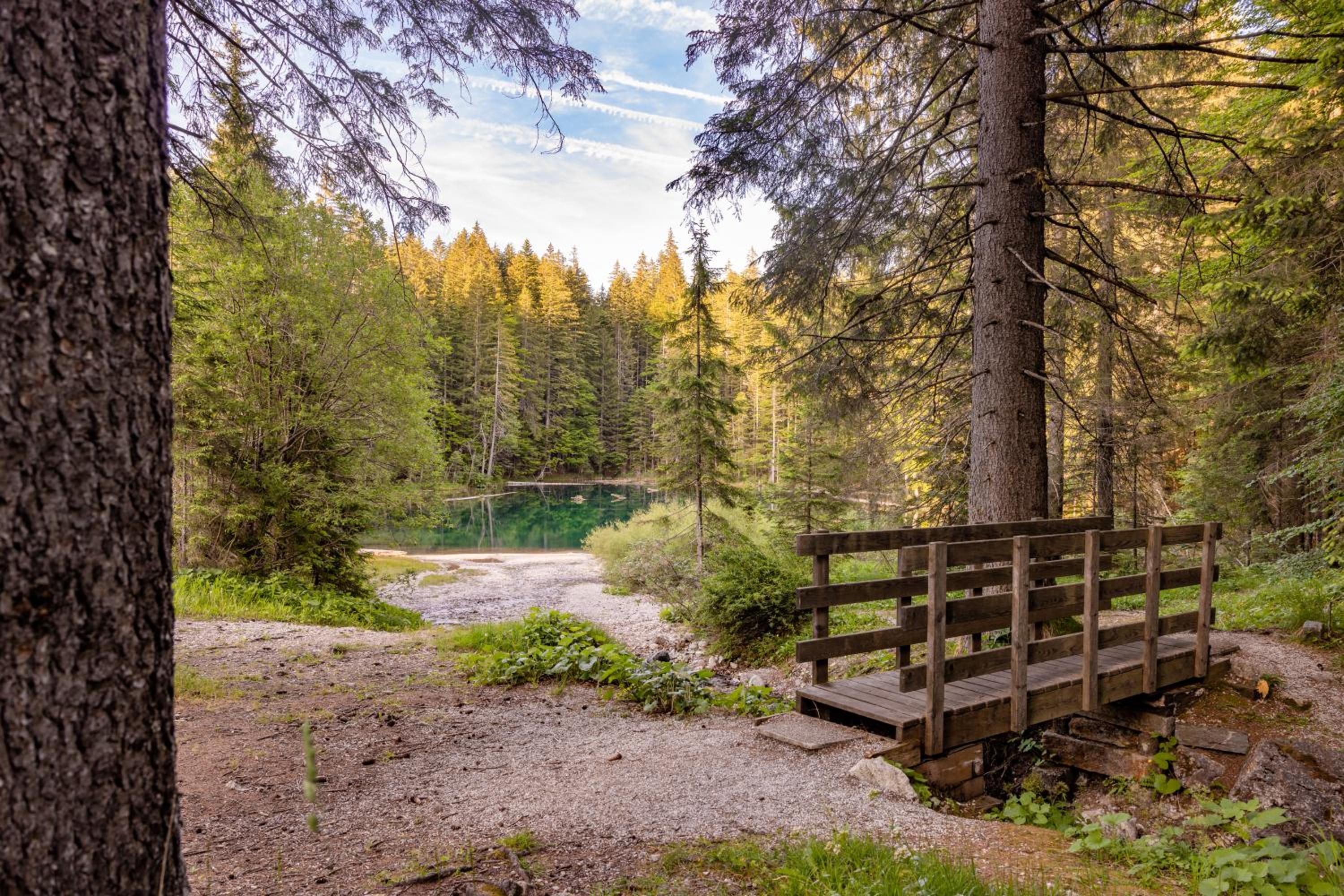 Almhütten Sonnblick & Almfried