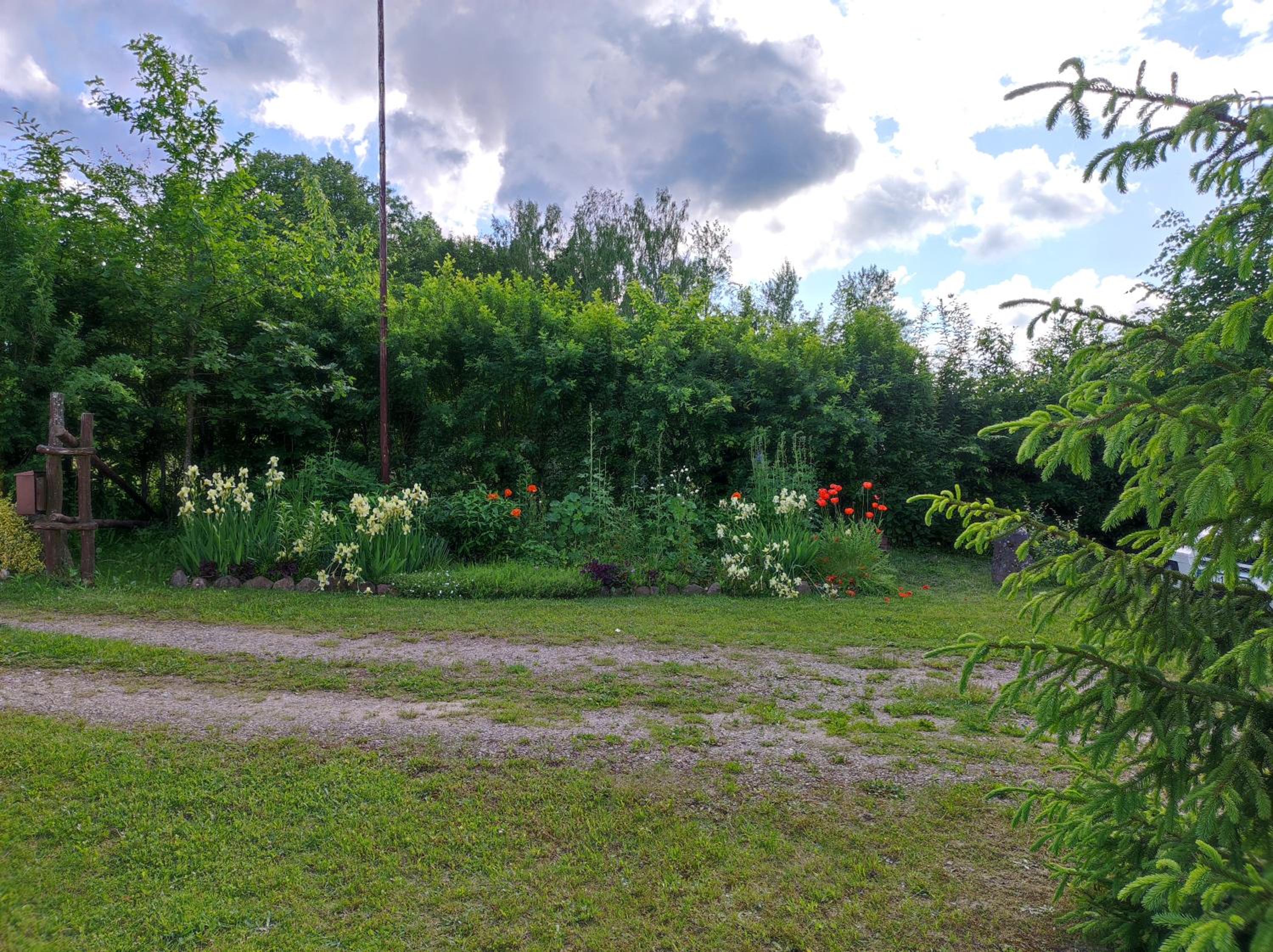 Photo 31