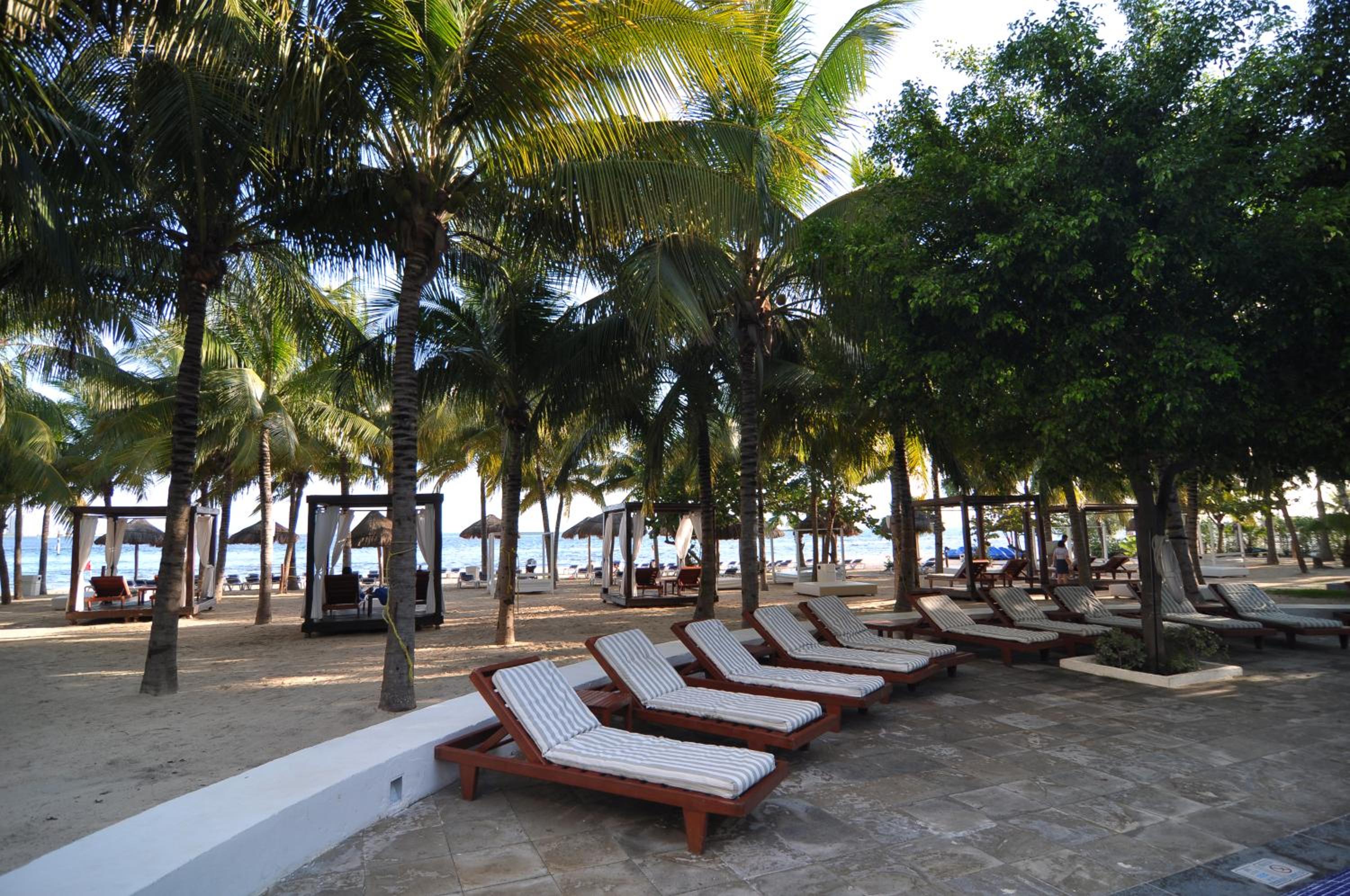 Oasis Palm - All Inclusive