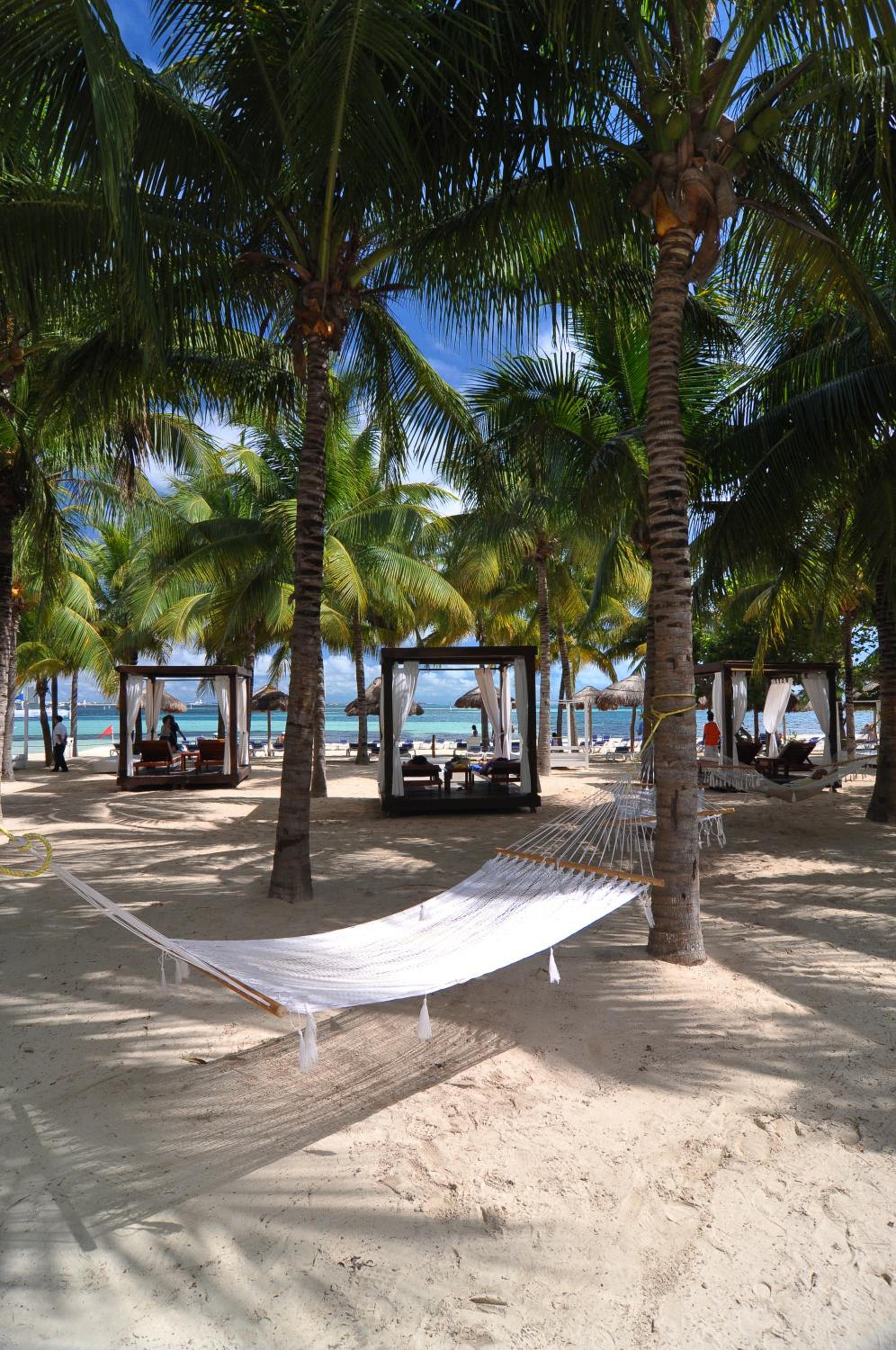 Oasis Palm - All Inclusive