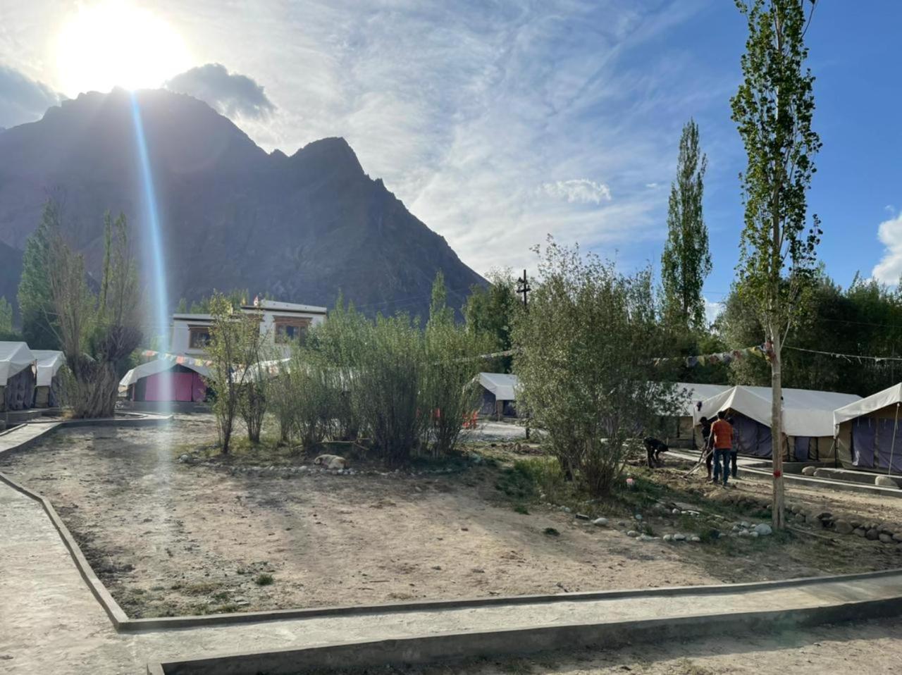 Hotel Nubra Delight and Camps