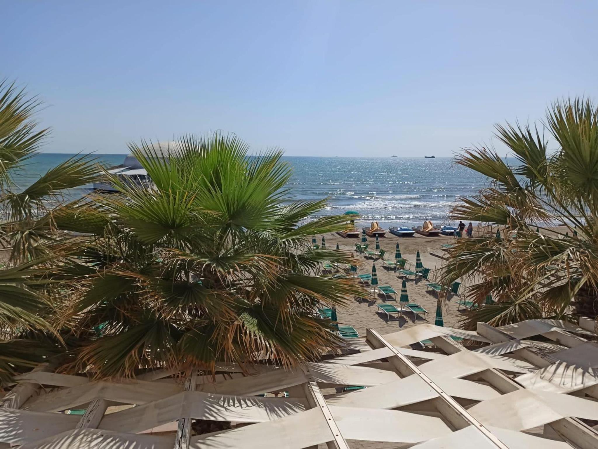 Sea View-Palm Trees Apartment Durres