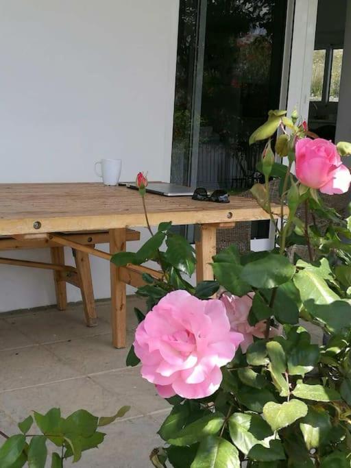 Villa Frangipani with large private pool, Rhodes photo 4