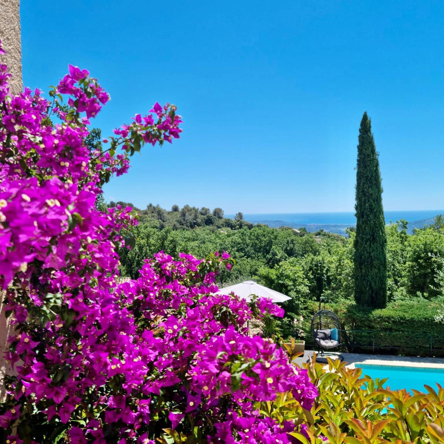 Les Hauts de la Riviera view 5