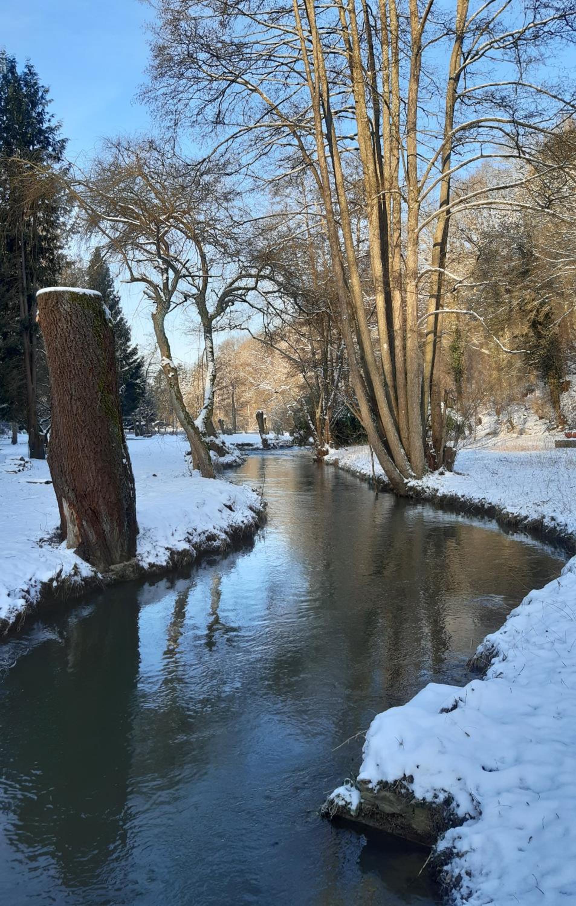 Tiny-river view 3