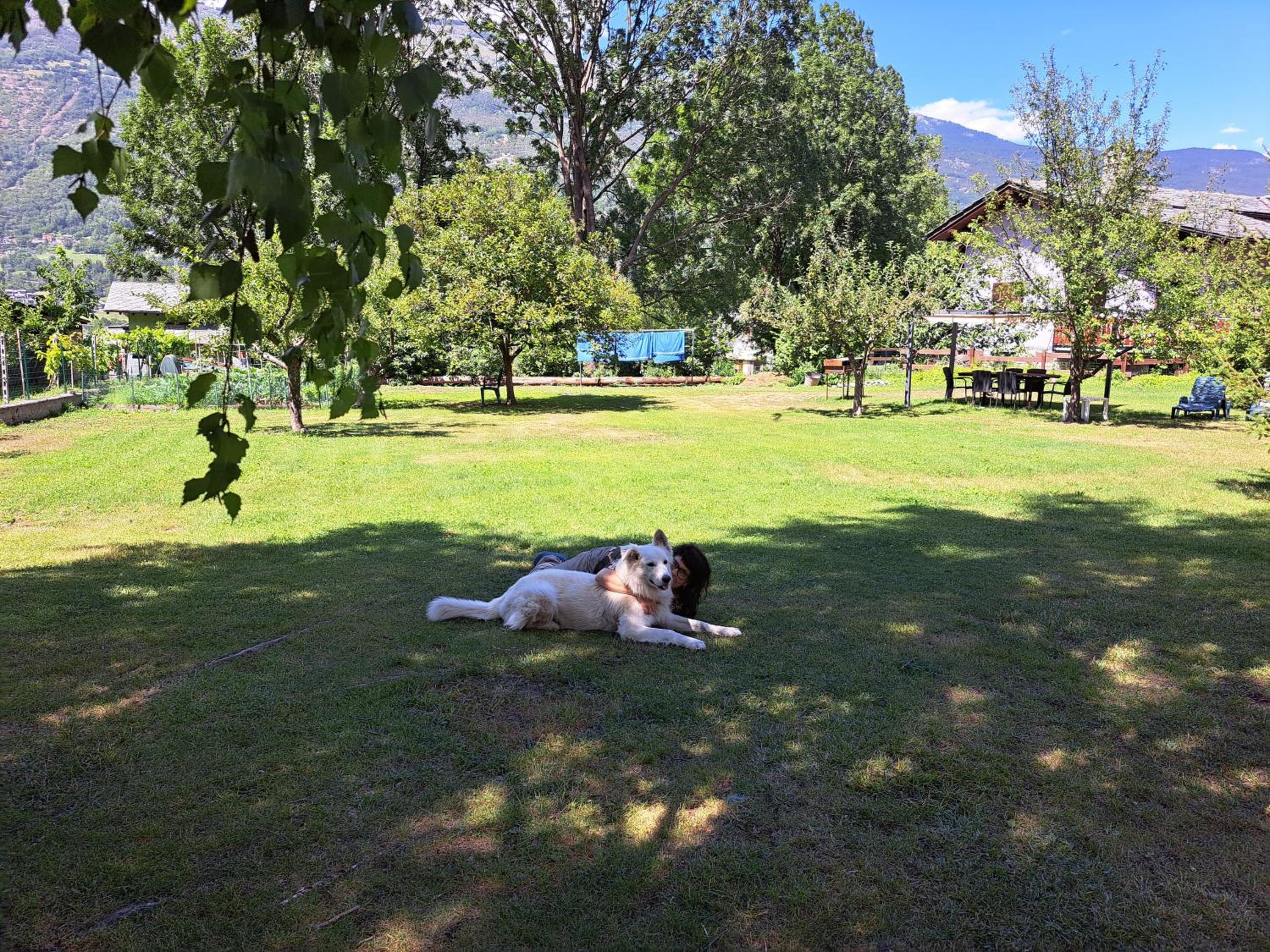 Photo 26