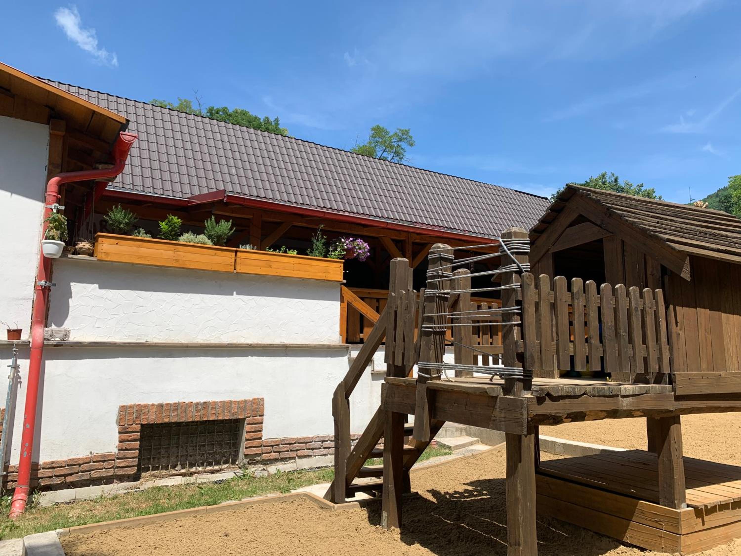 Photo 51