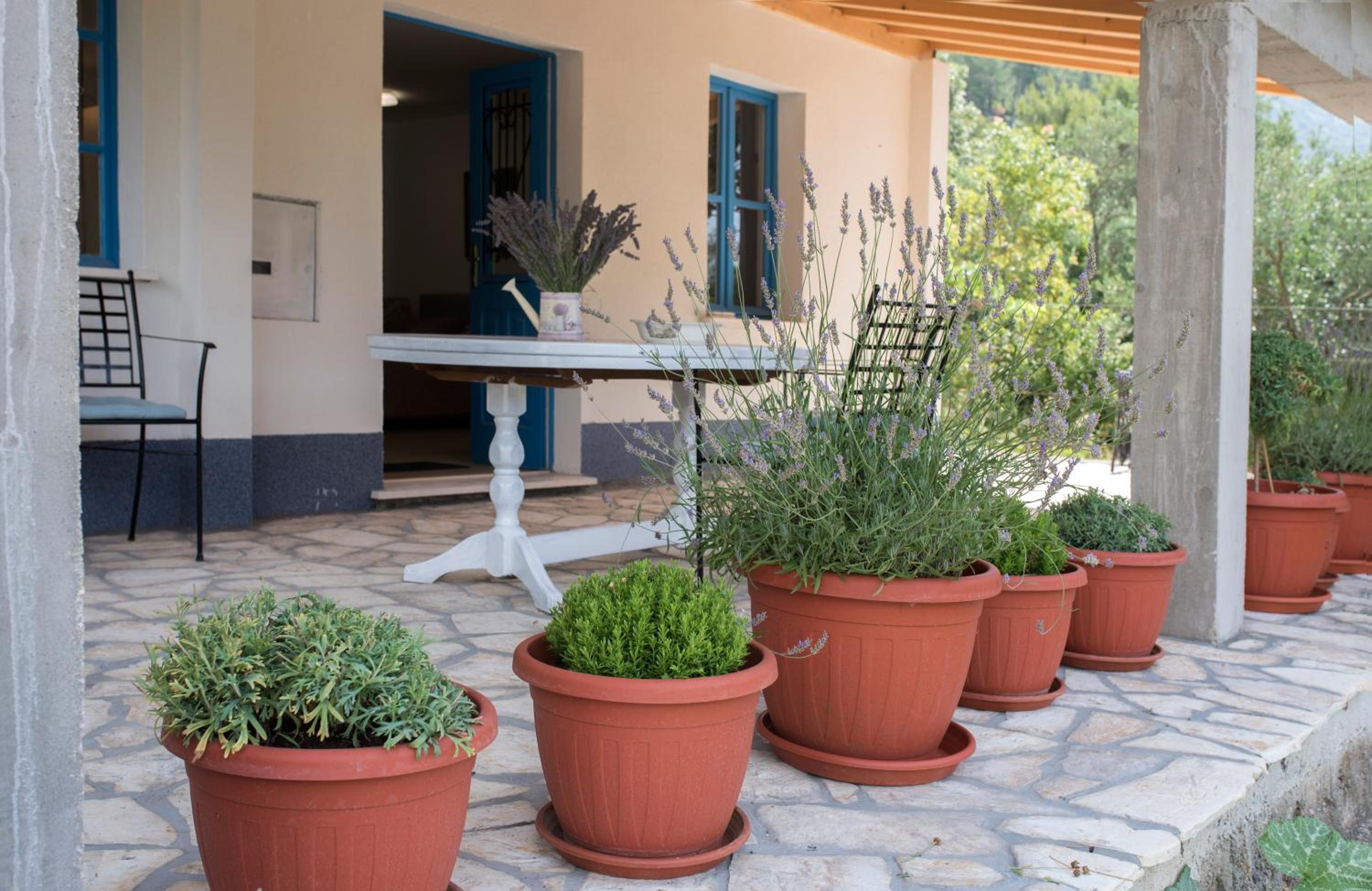 Studio apartman ROZA view 5