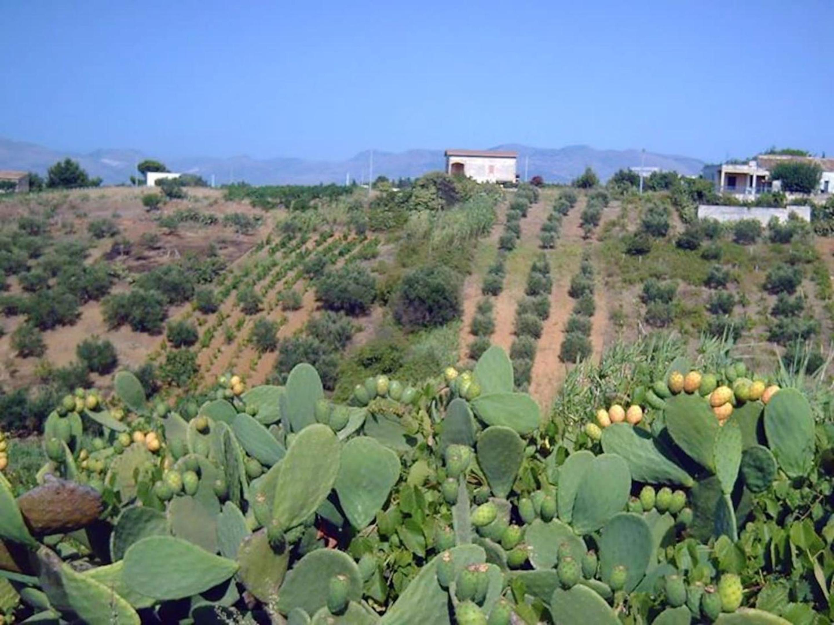 Apartment in Castellammare del Golfo - Sea View - 70 sqm C view 5