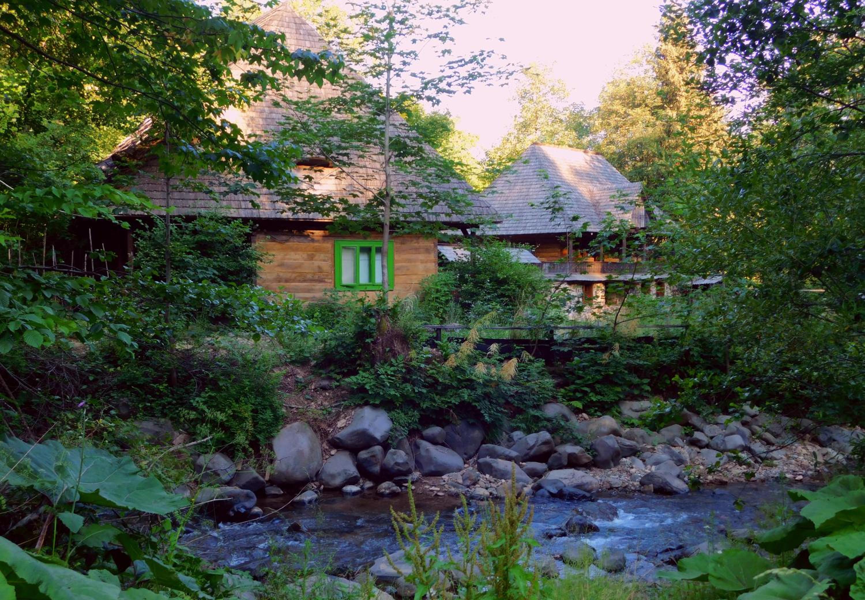 Photo 48