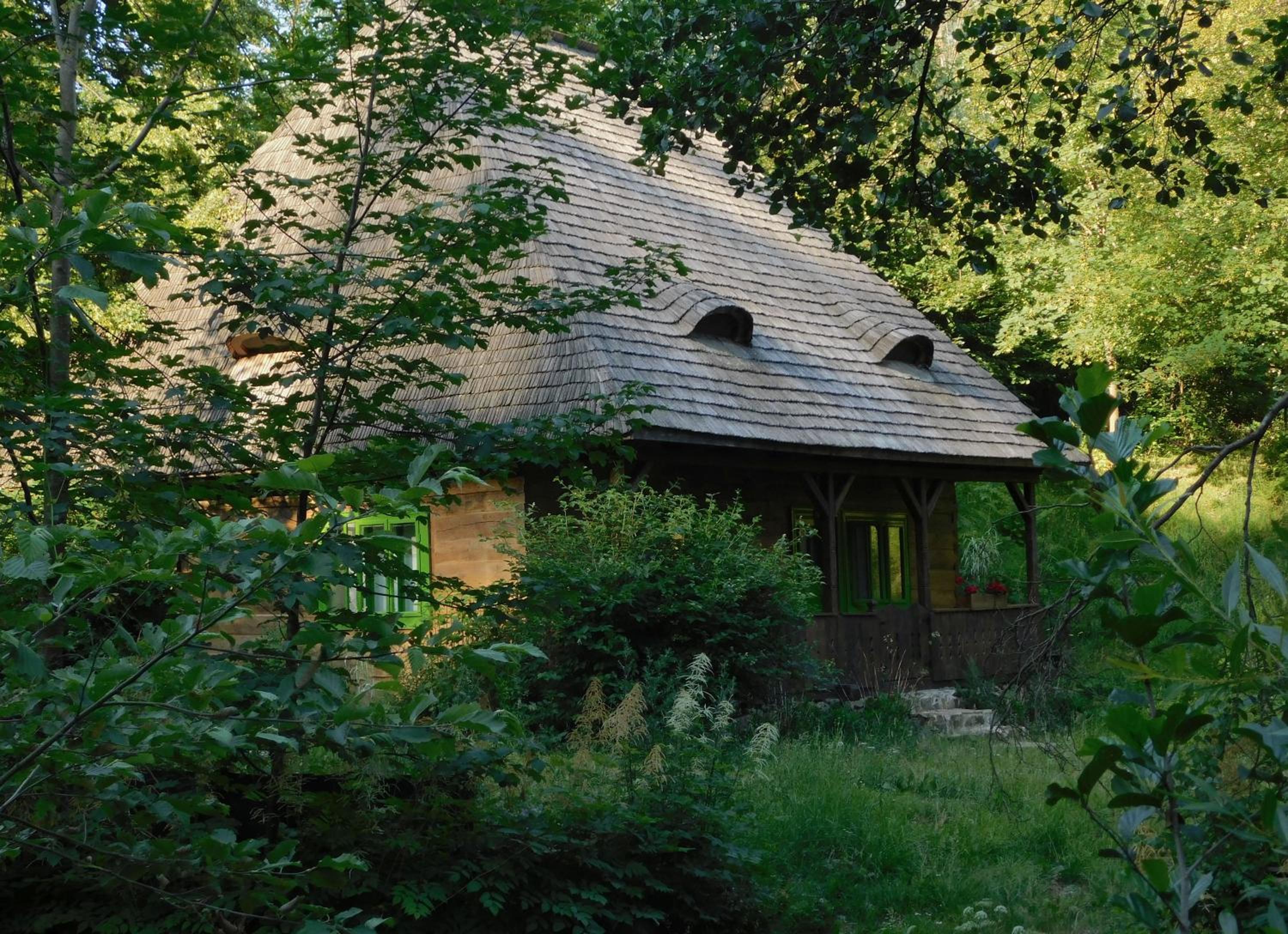 Photo 47