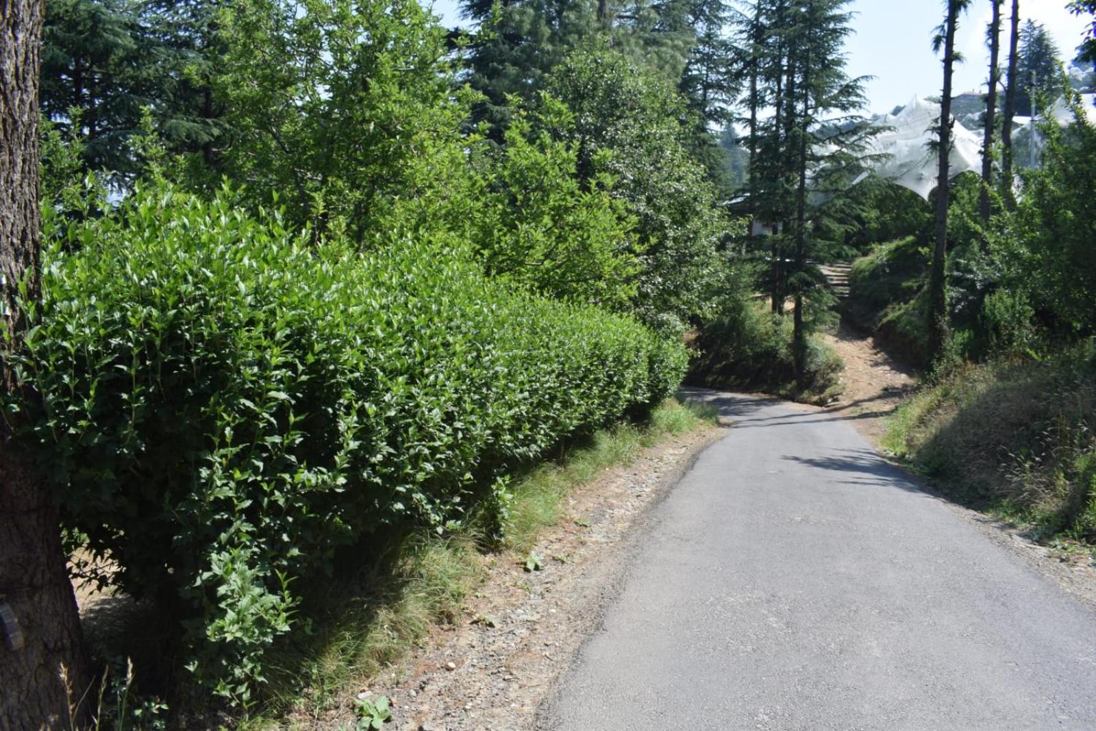 Photo 11