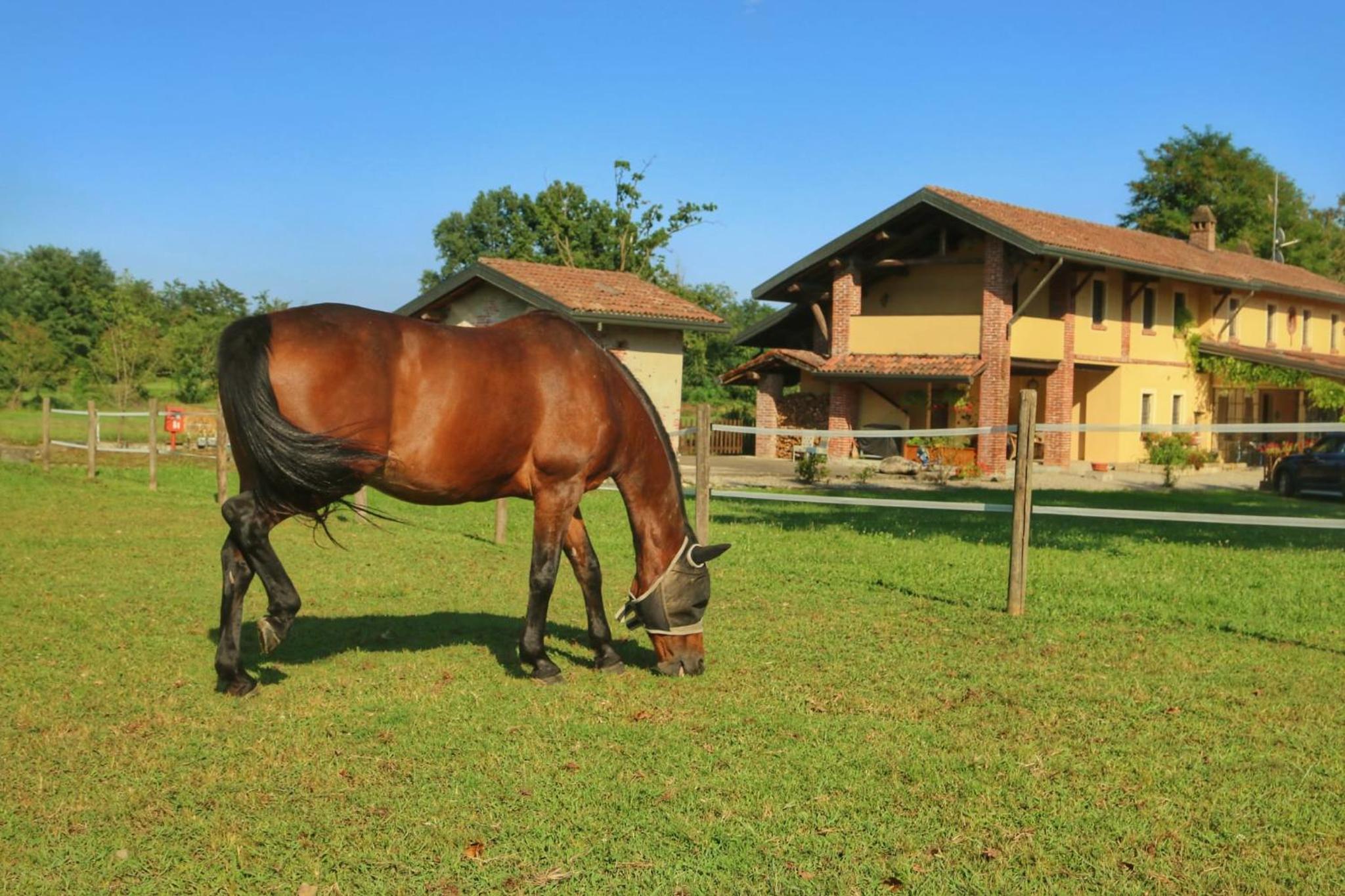 Agriturismo Helianthus