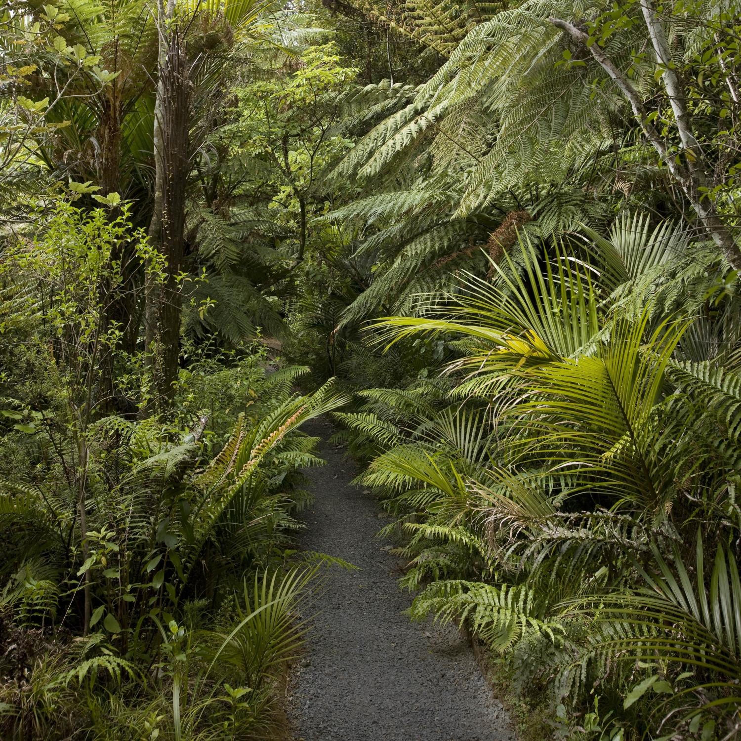 Rapaura Watergardens