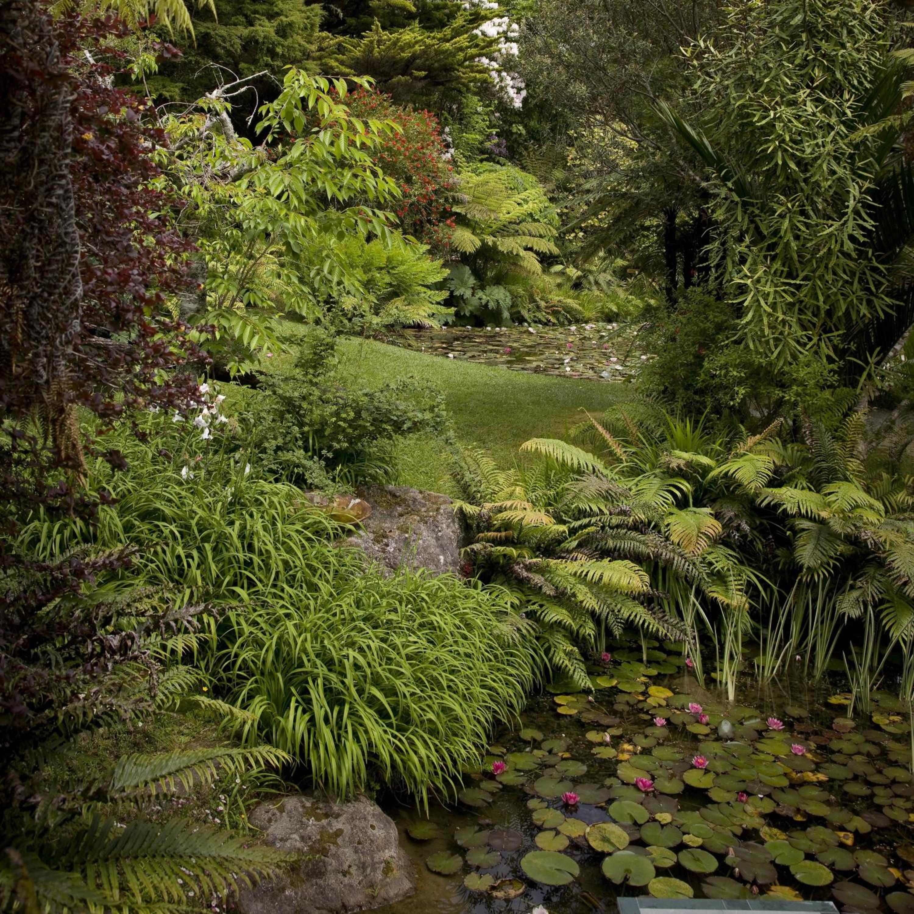 Rapaura Watergardens