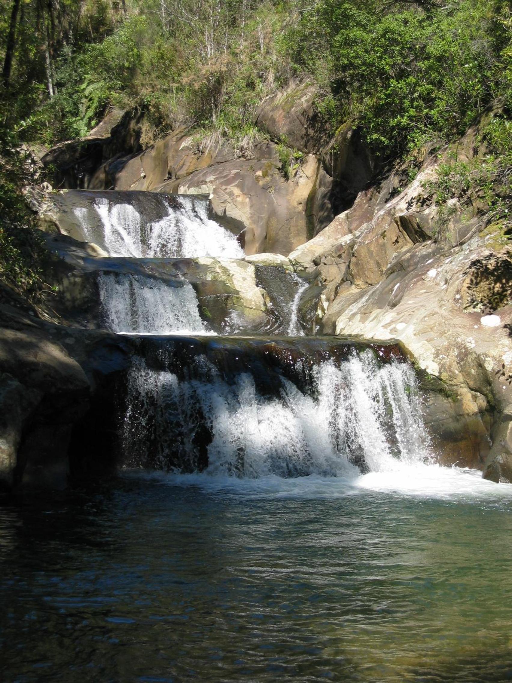 Rapaura Watergardens