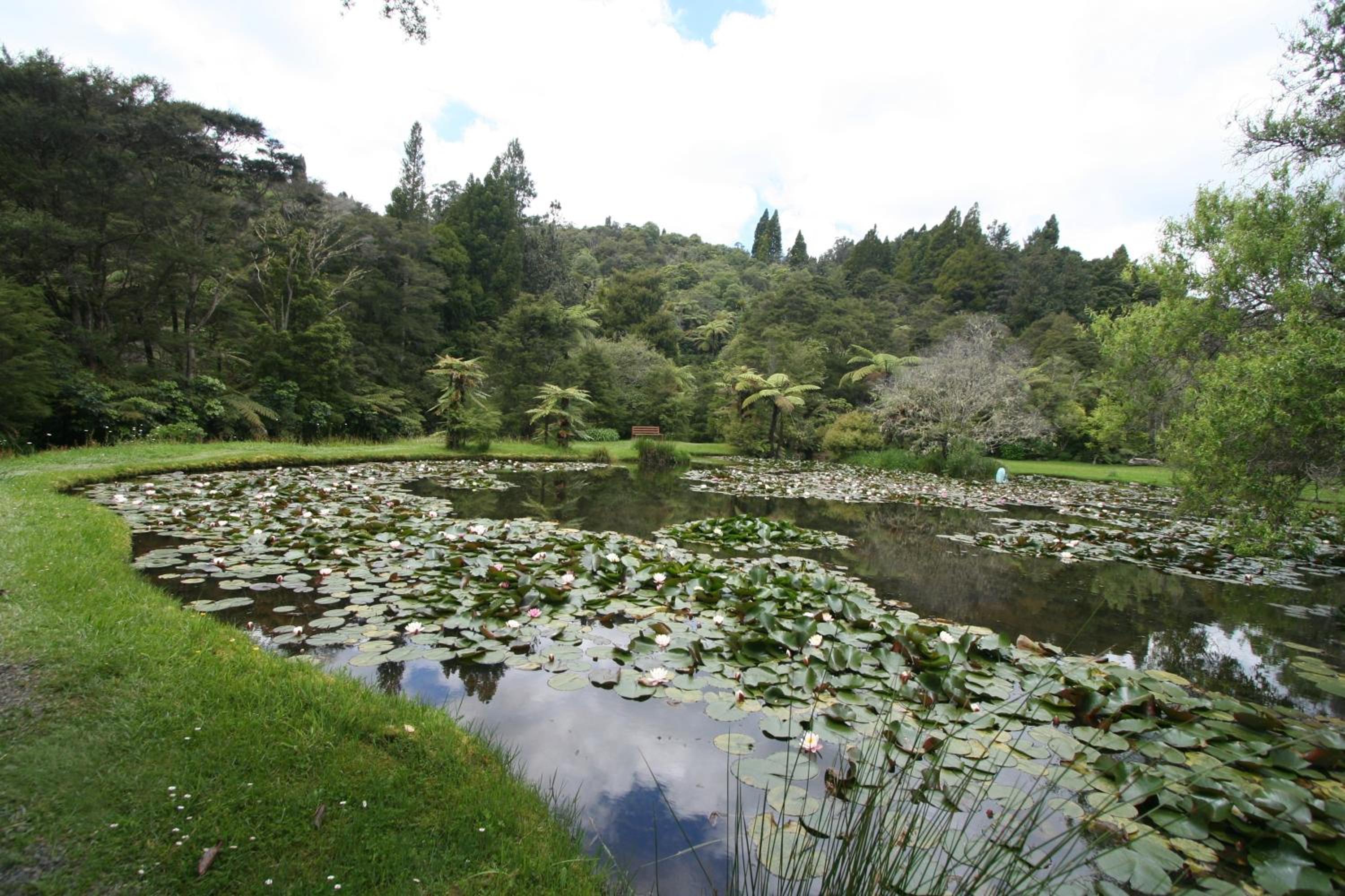 Rapaura Watergardens