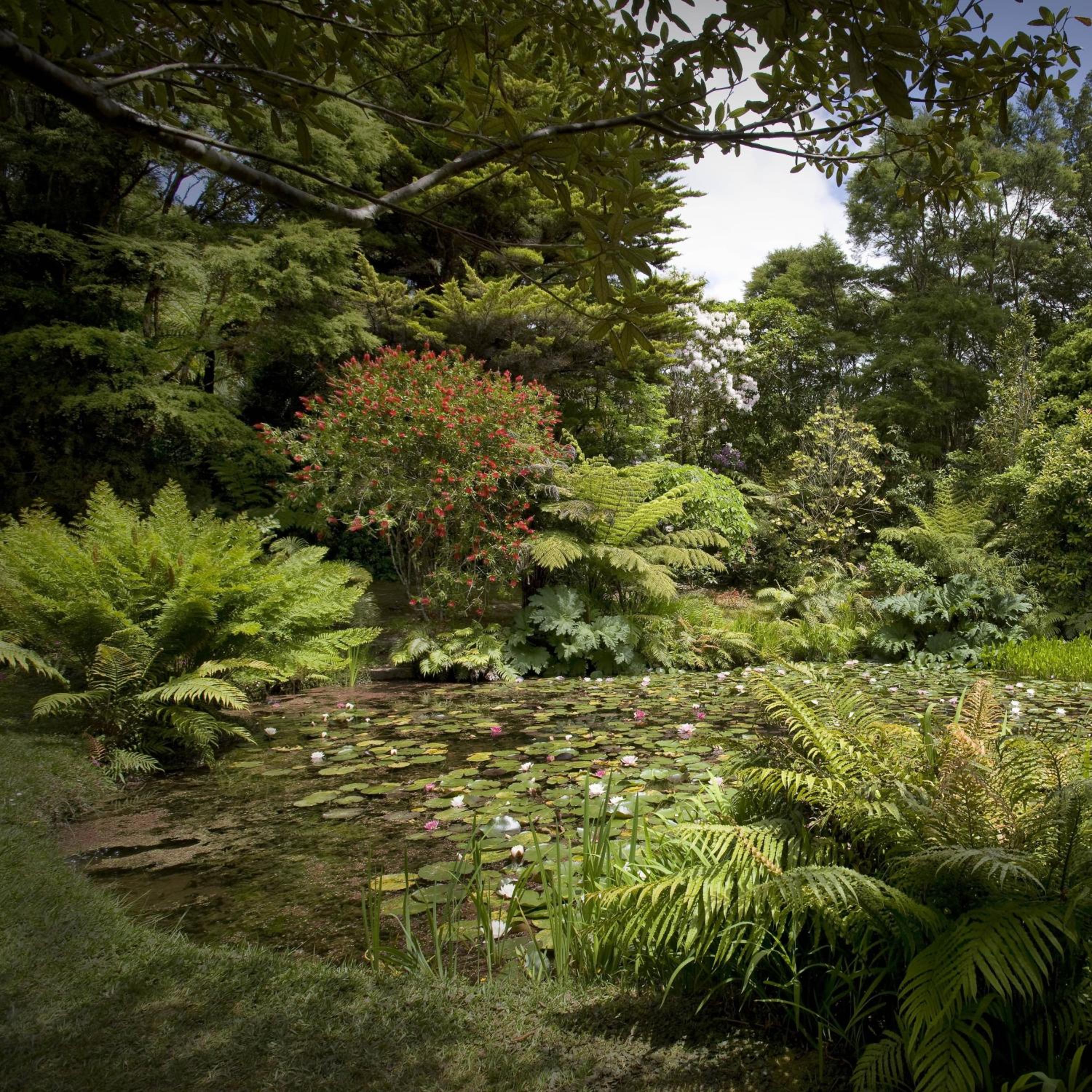 Rapaura Watergardens
