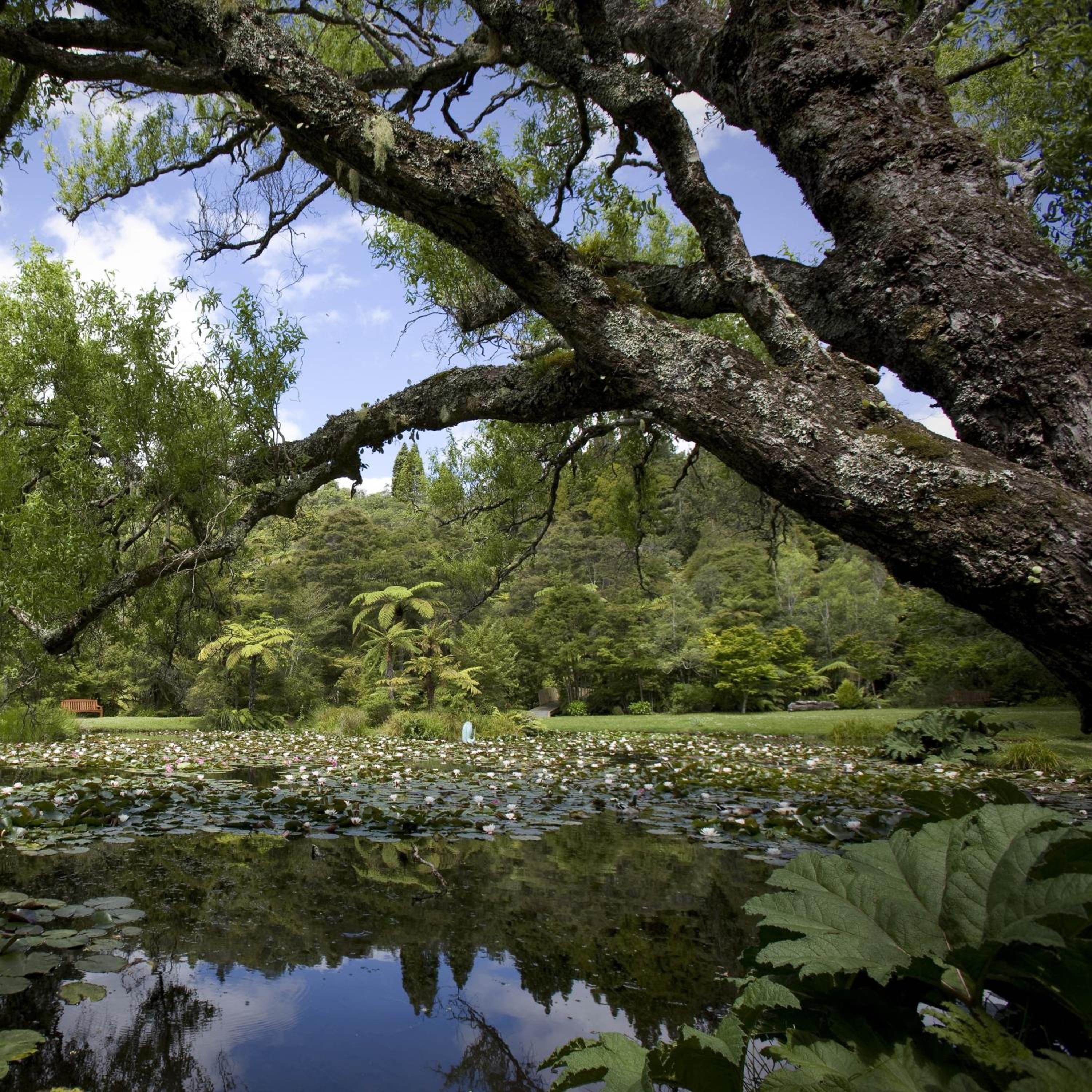 Rapaura Watergardens