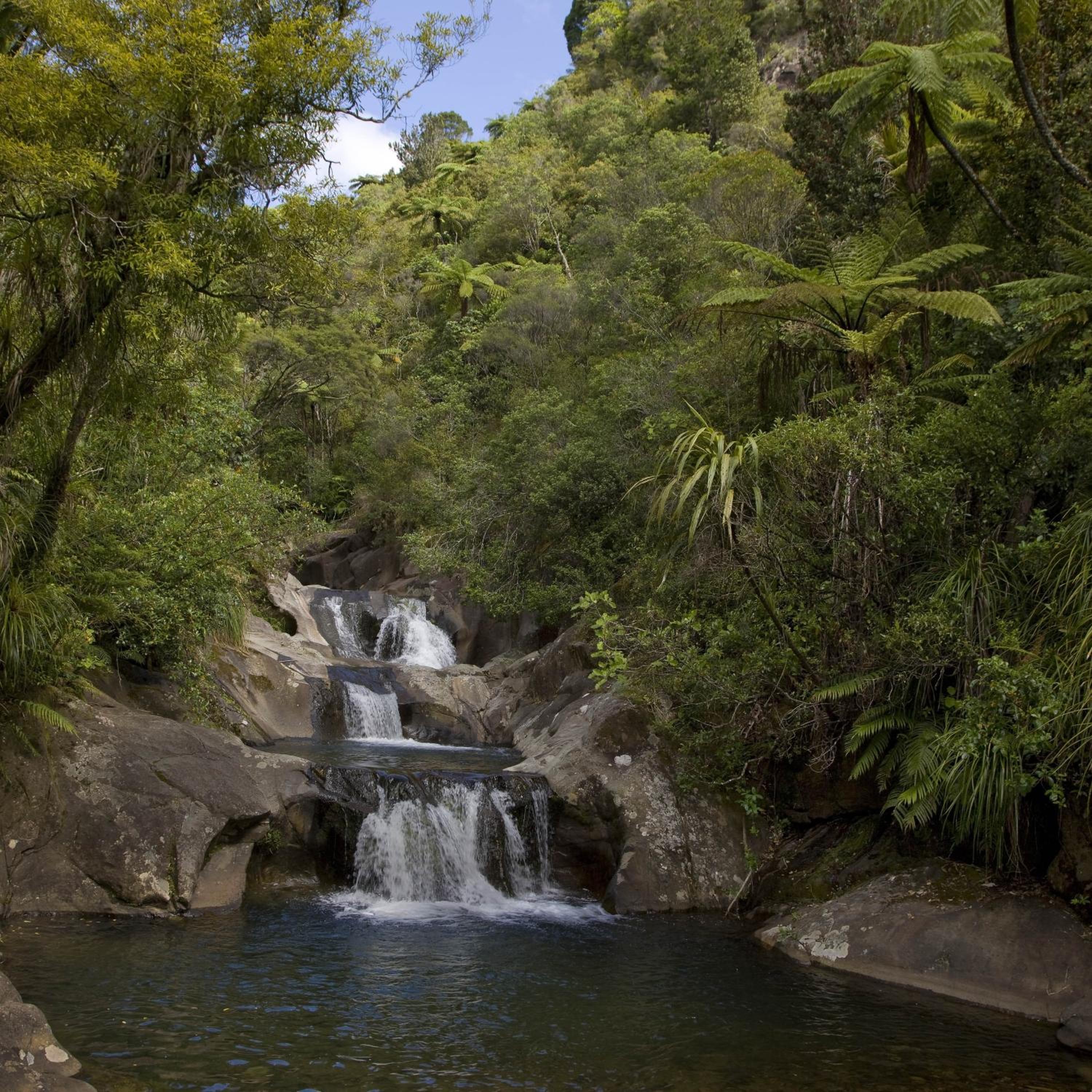 Rapaura Watergardens