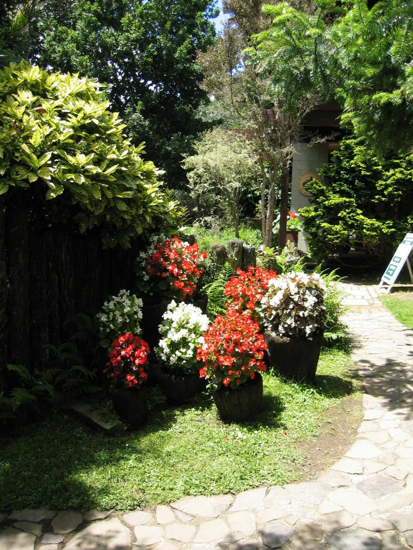 Rapaura Watergardens