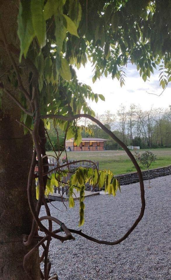 Agriturismo Helianthus