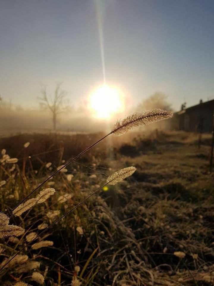 Agriturismo Helianthus