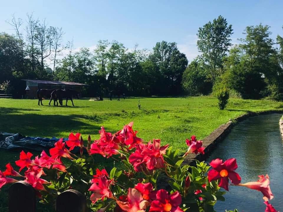 Agriturismo Helianthus
