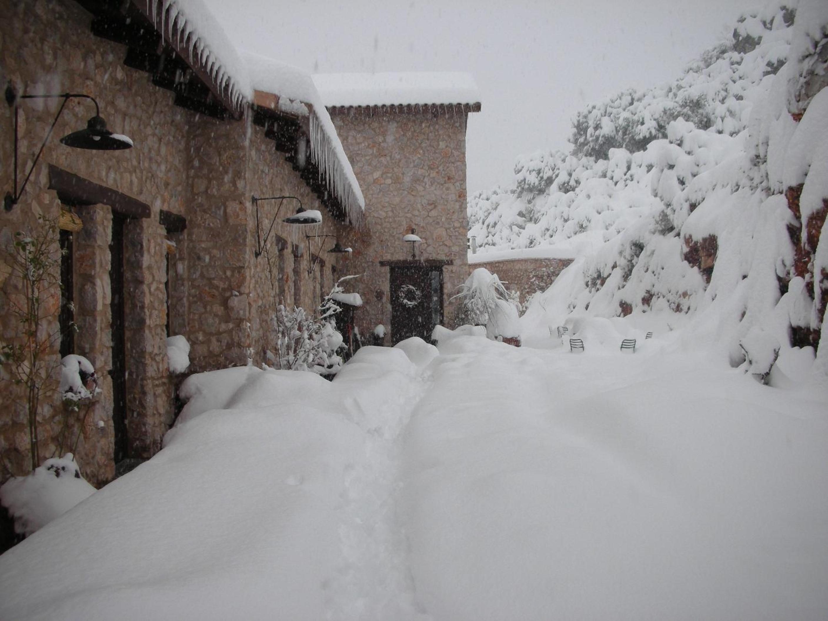 Photo 12