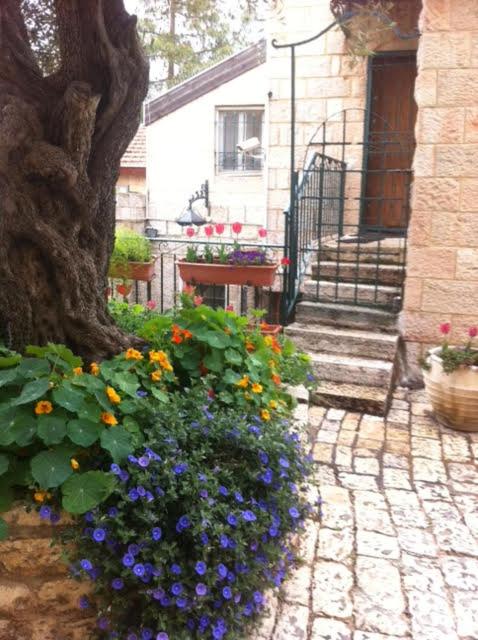 Photo 52