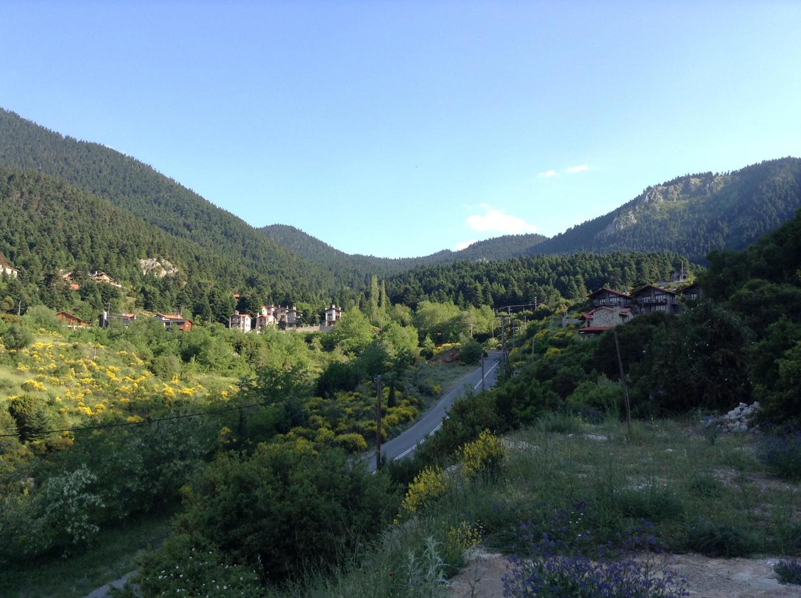 Photo 23