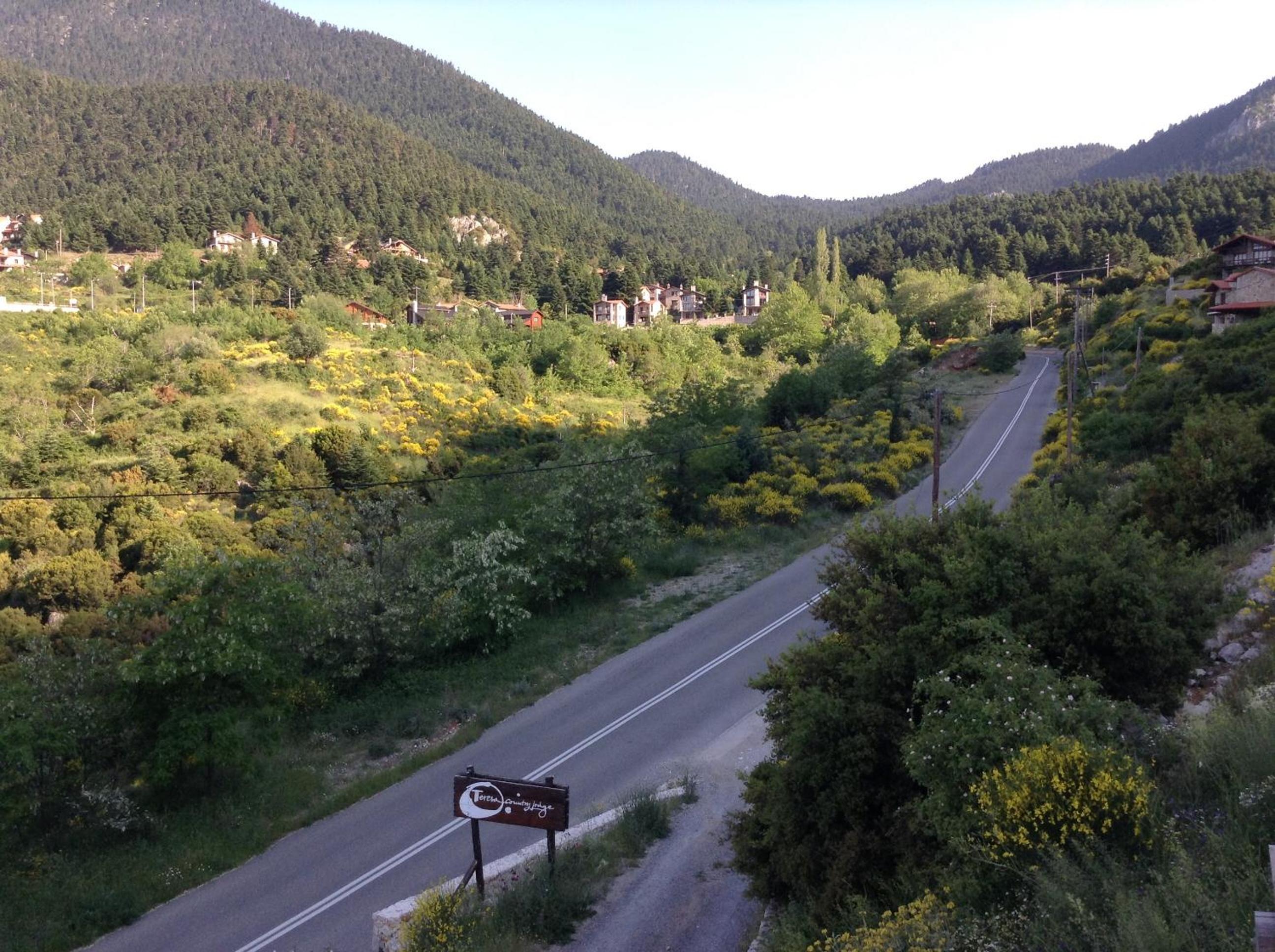 Photo 21