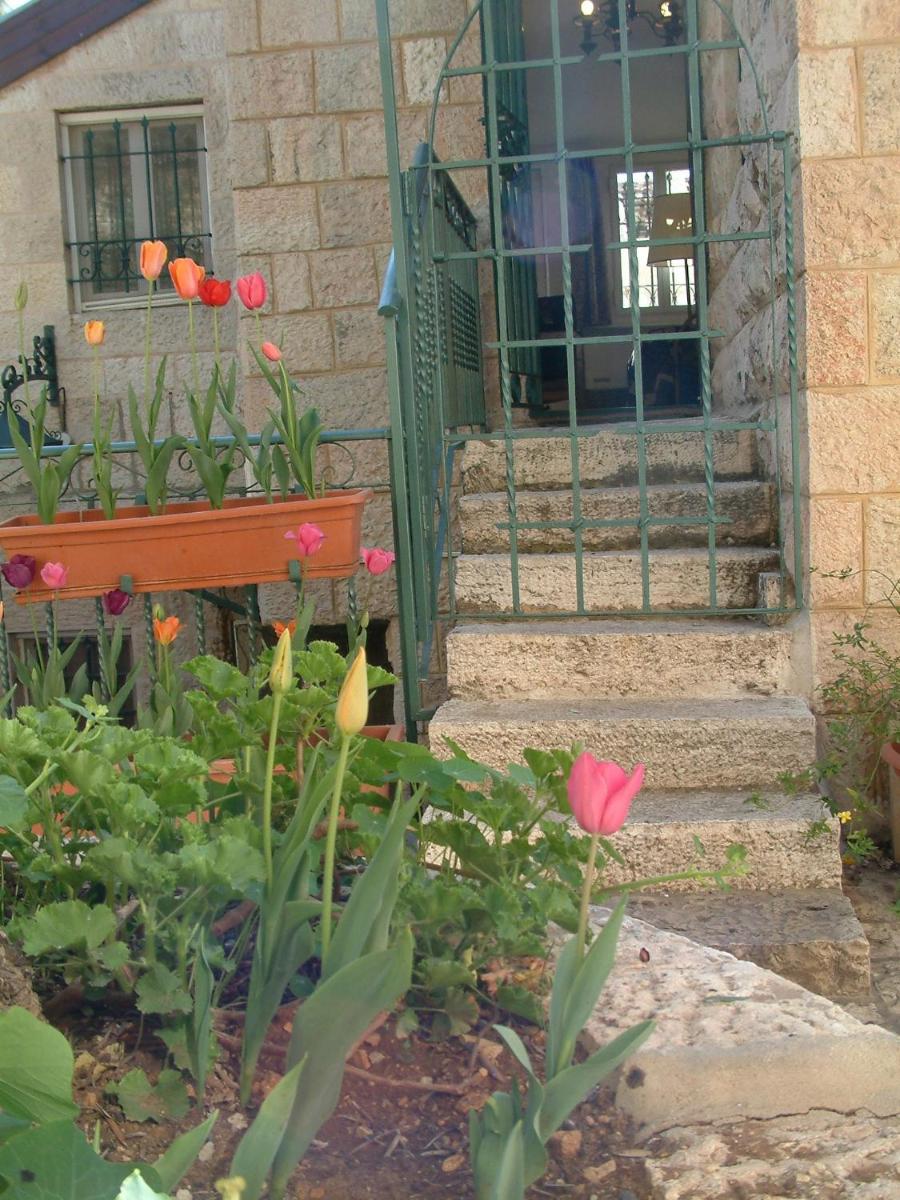Photo 11
