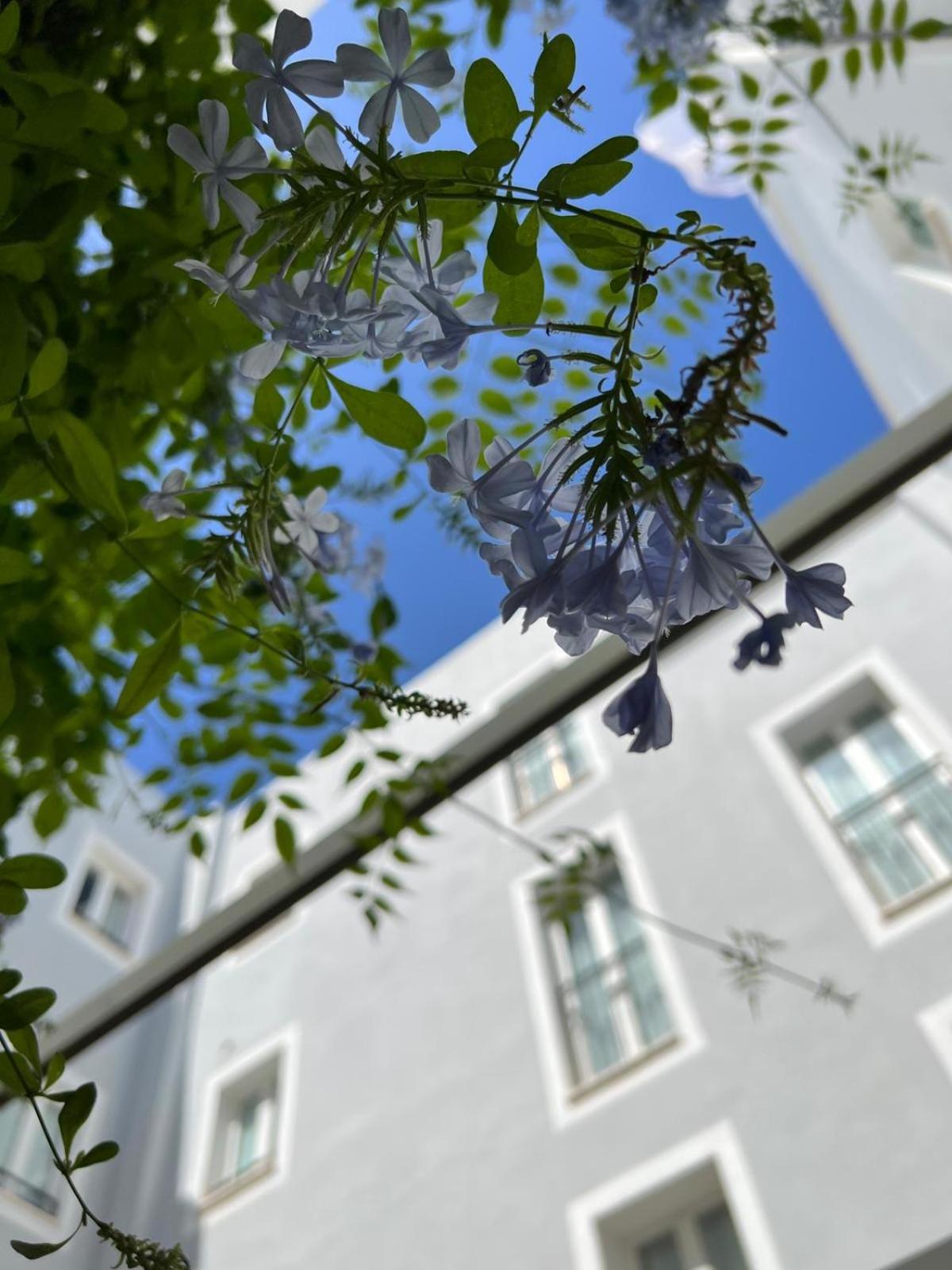 Hotel San Miguel Menorca - Image 1