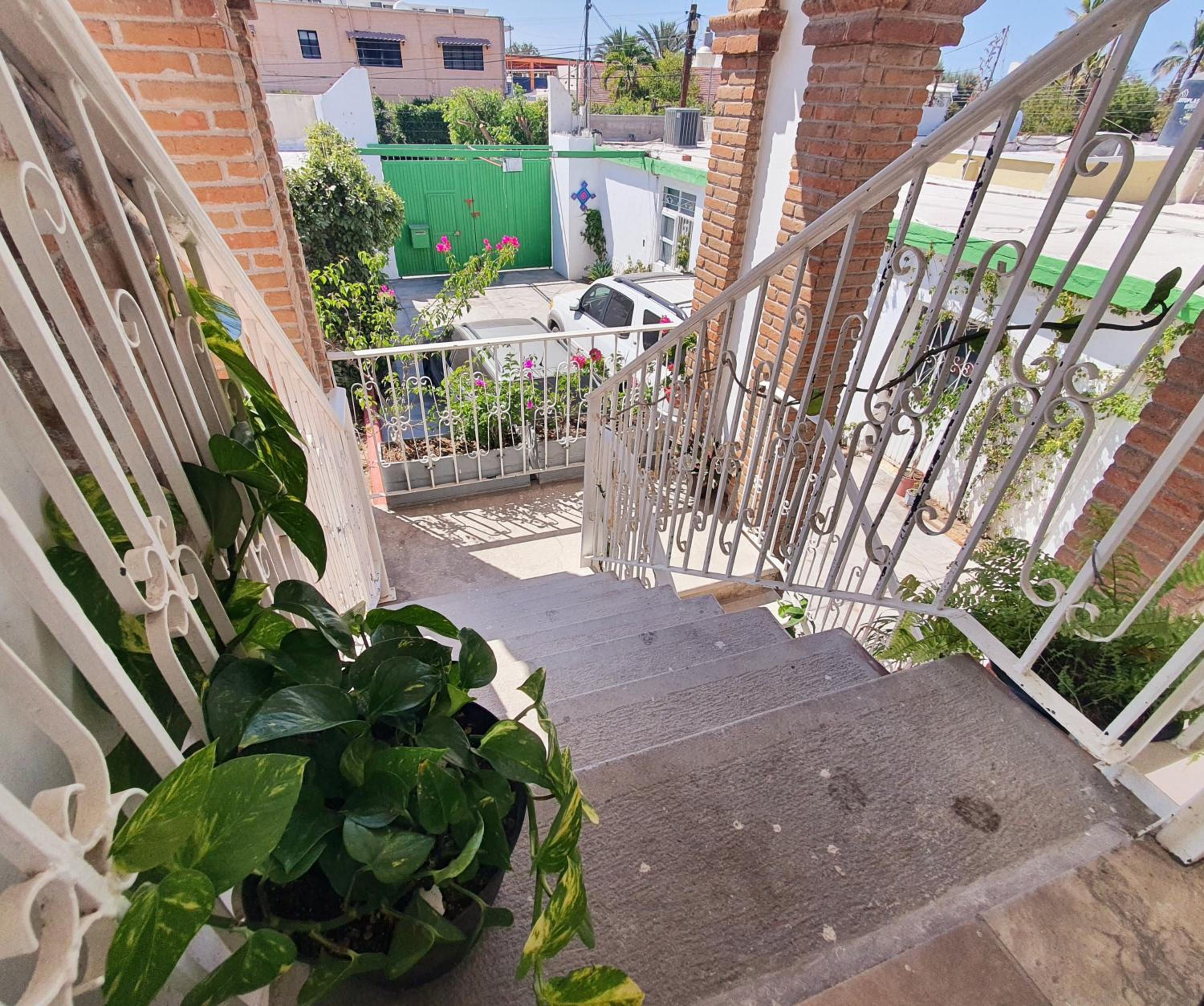 Photo 41
